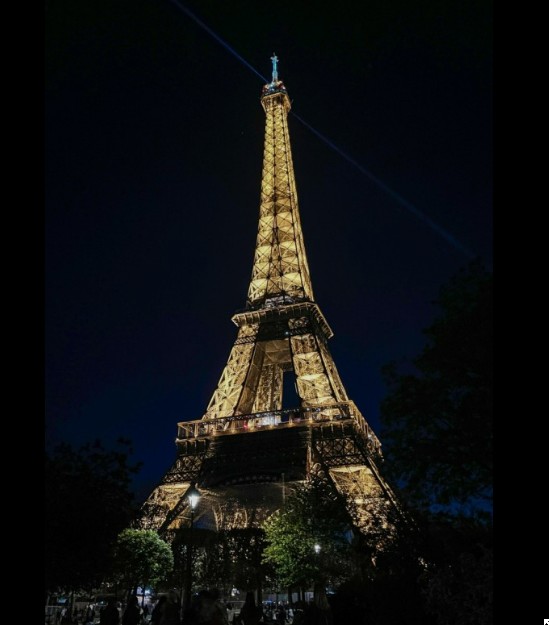 작성자 프로필 이미지