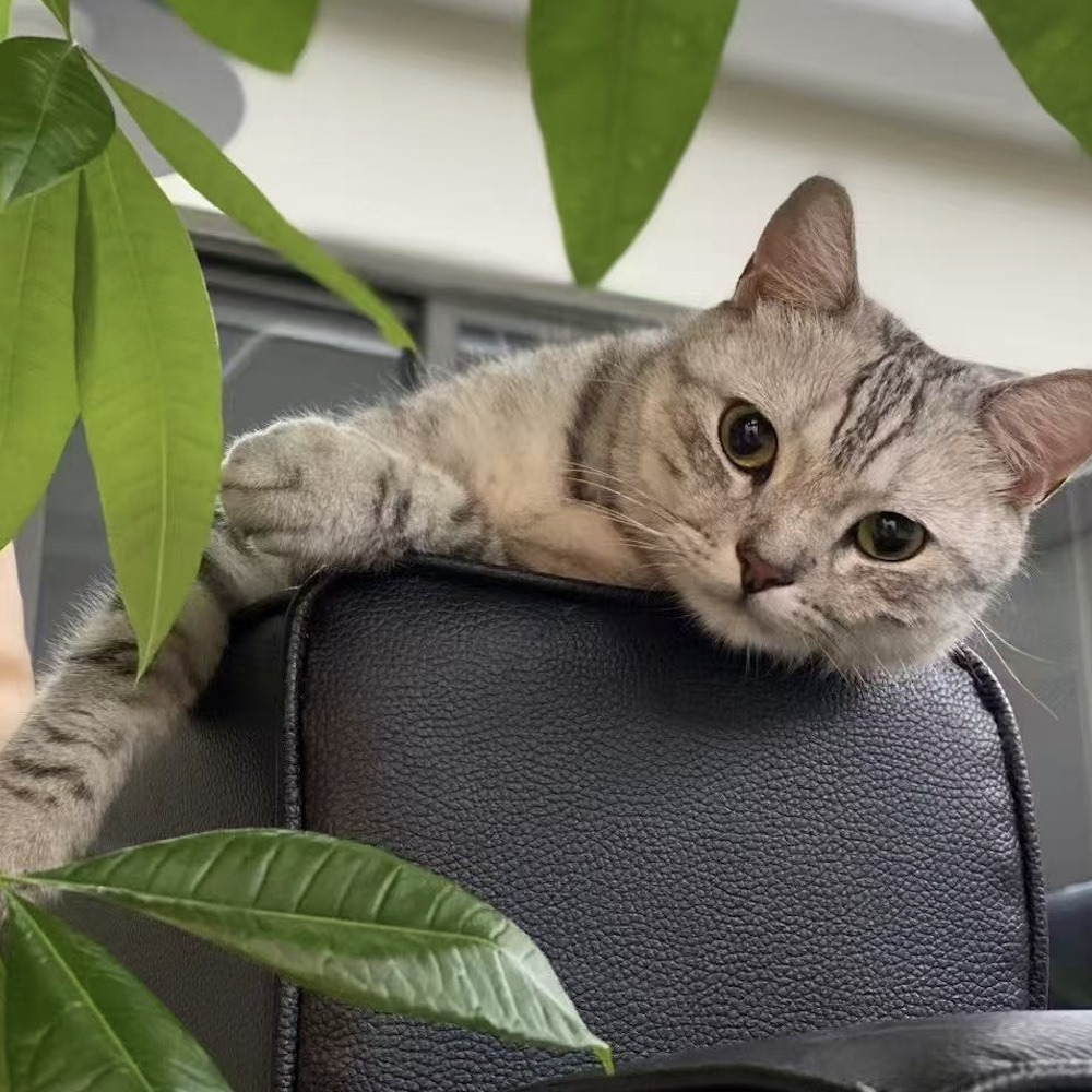 작성자 프로필 이미지