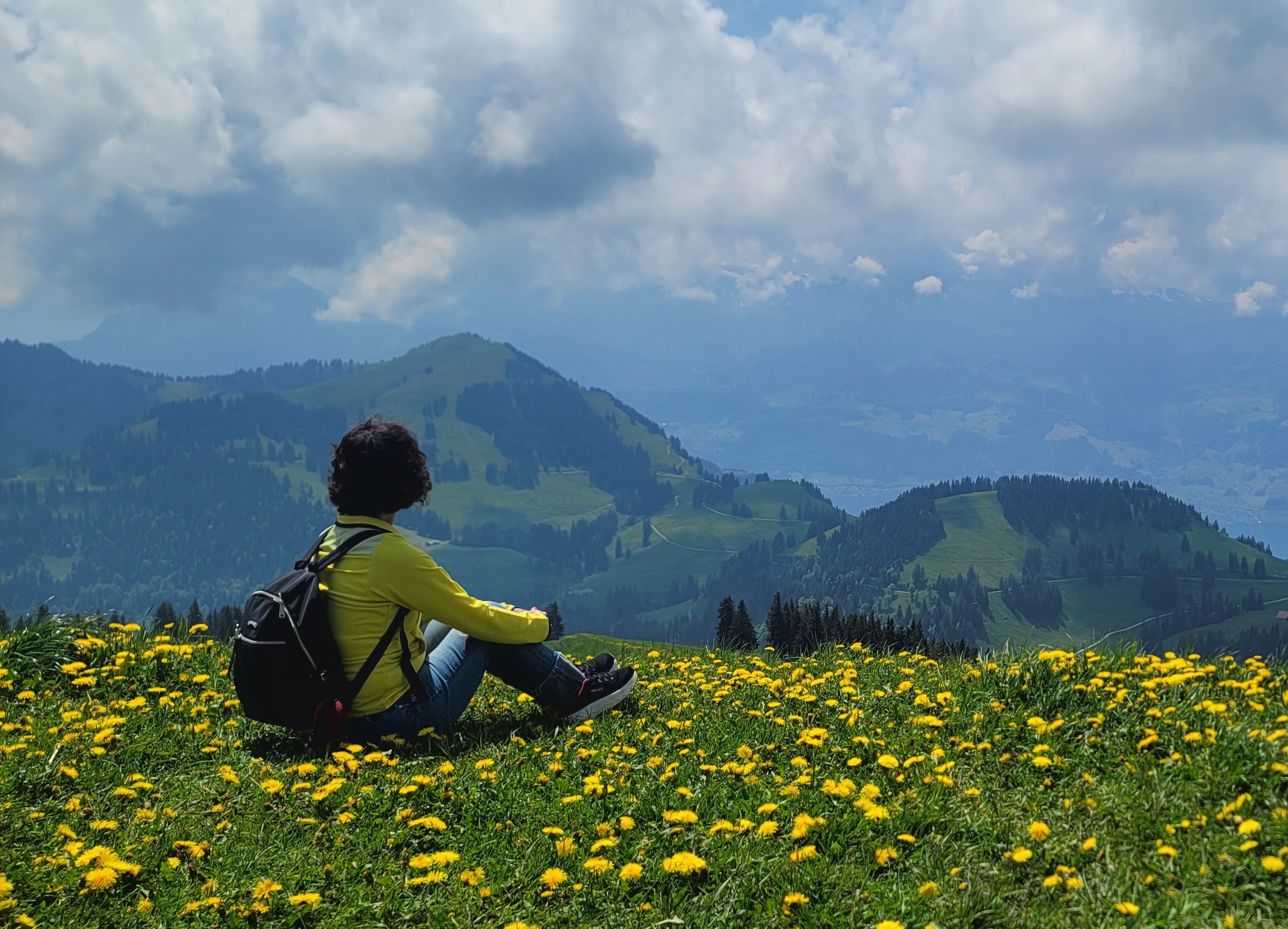 작성자 프로필 이미지