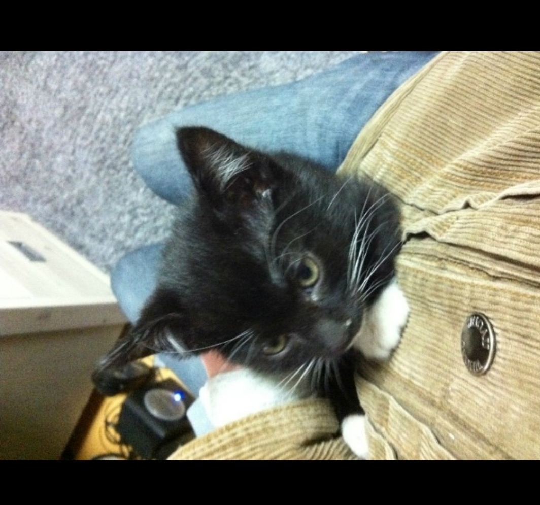 작성자 프로필 이미지