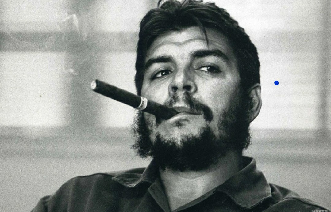 작성자 프로필 이미지