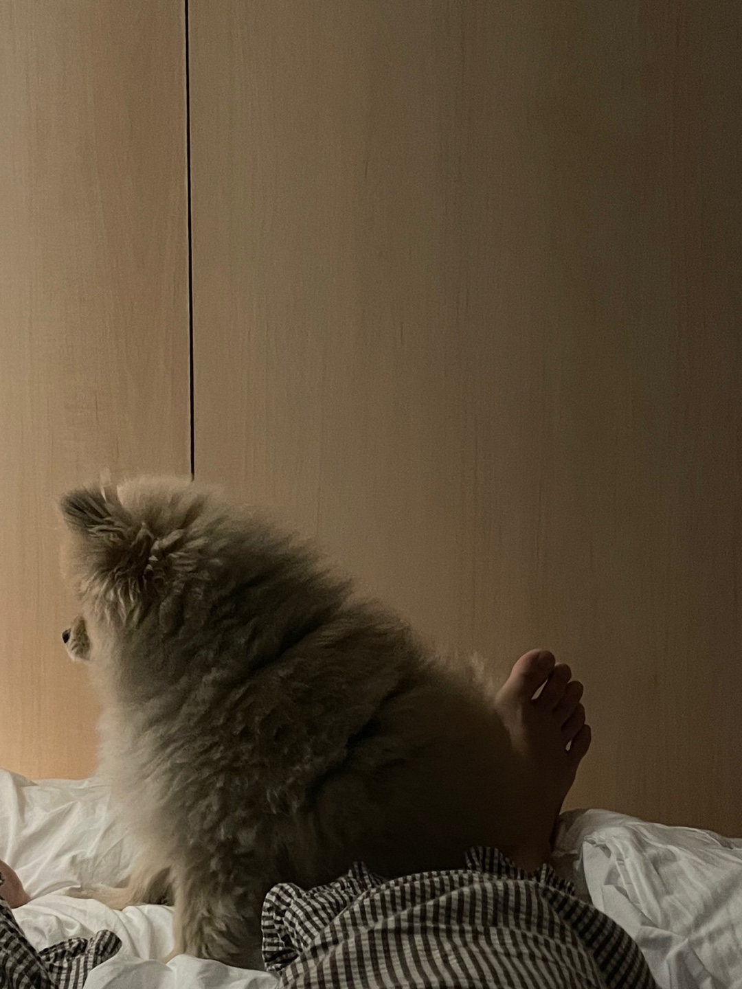 작성자 프로필 이미지