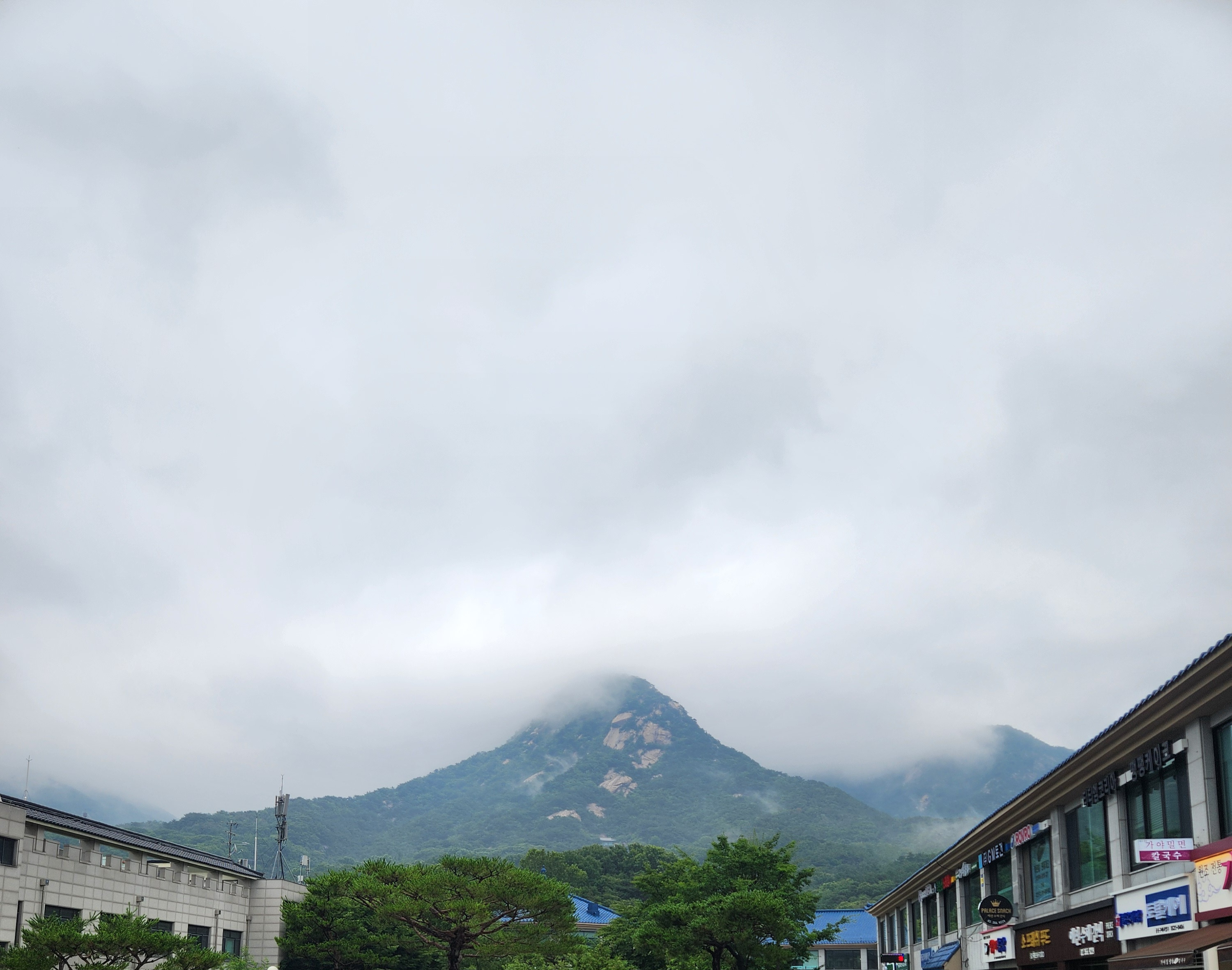 작성자 프로필 이미지