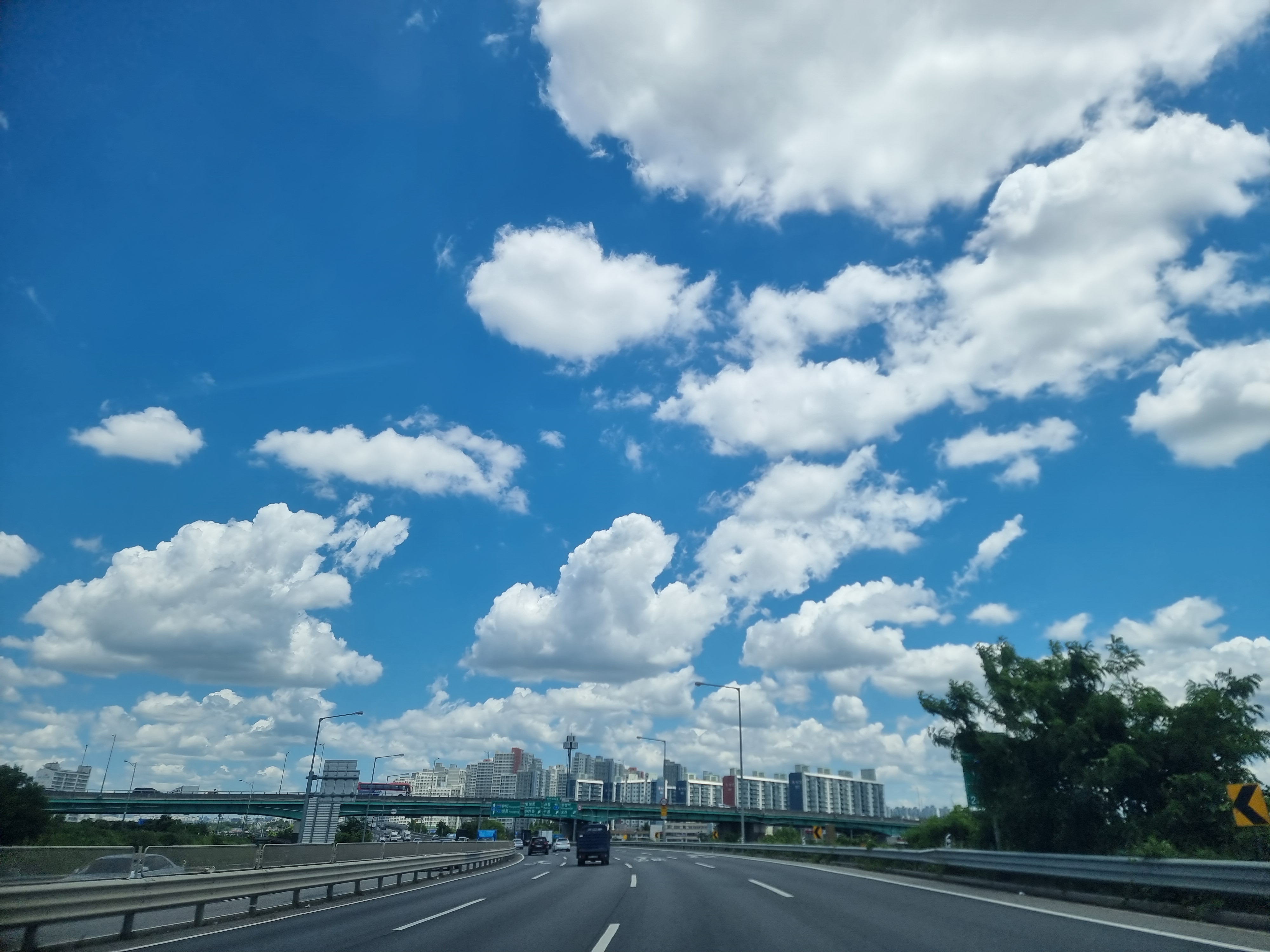 작성자 프로필 이미지