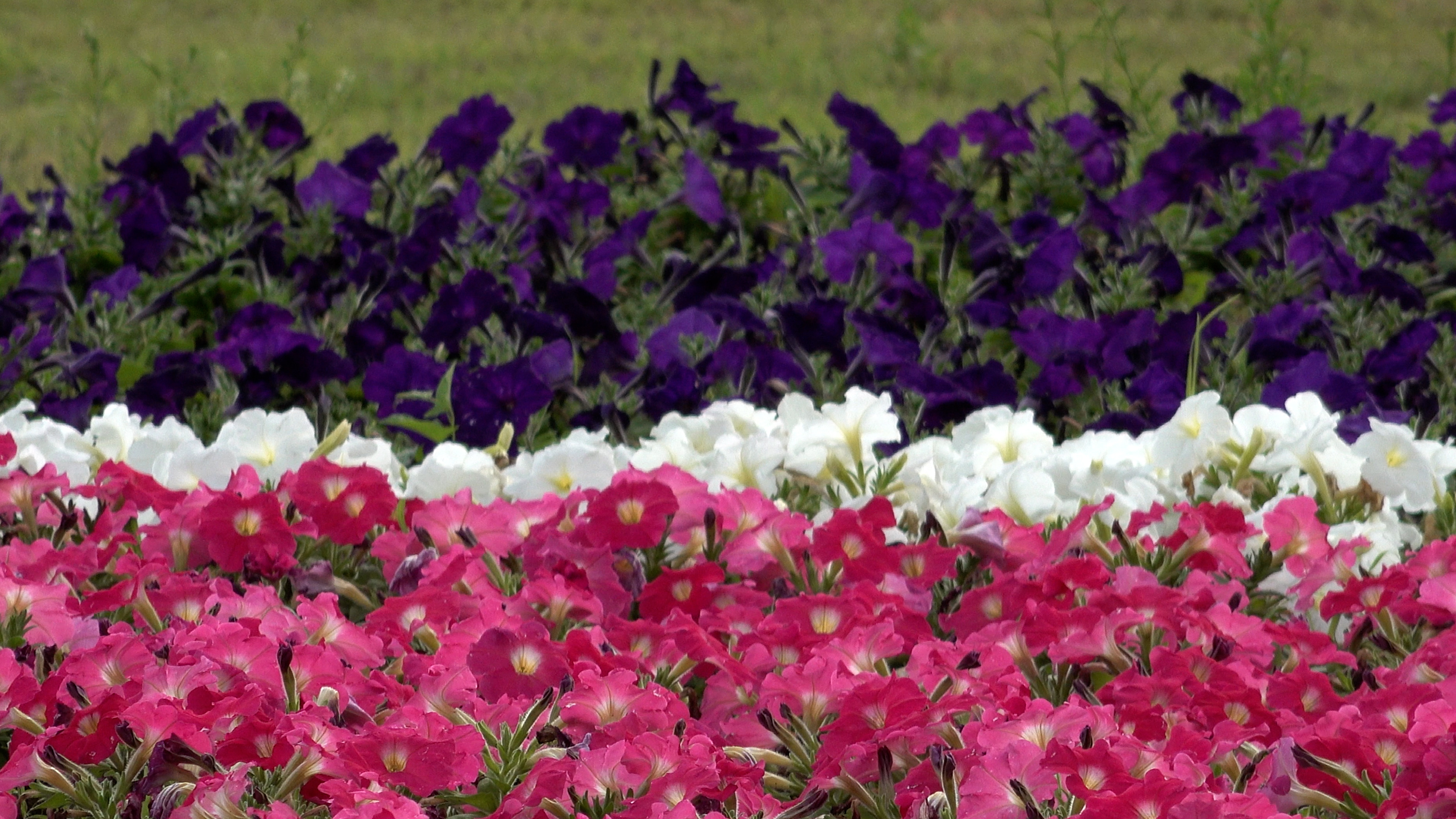 작성자 프로필 이미지