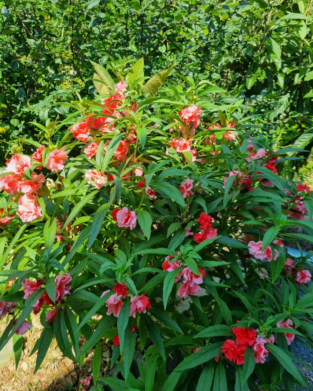 작성자 프로필 이미지