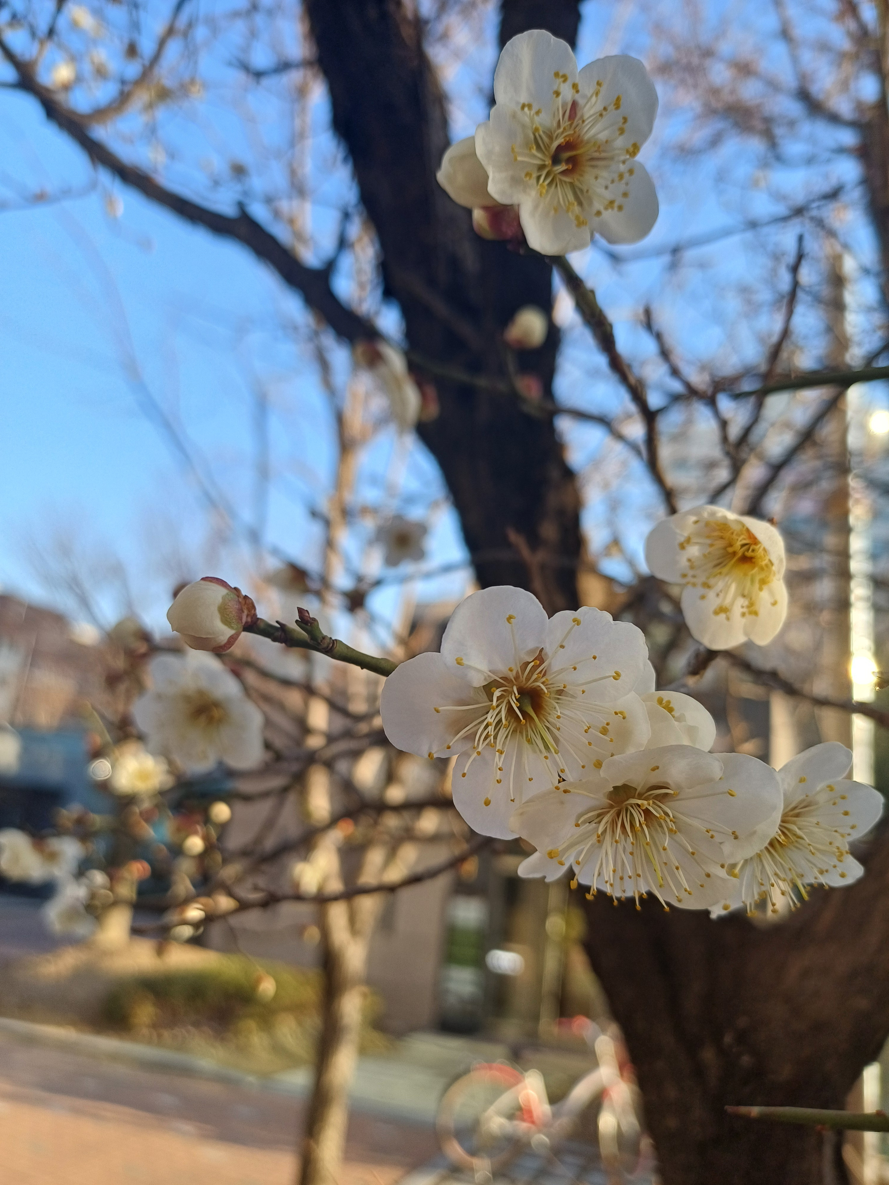 작성자 프로필 이미지