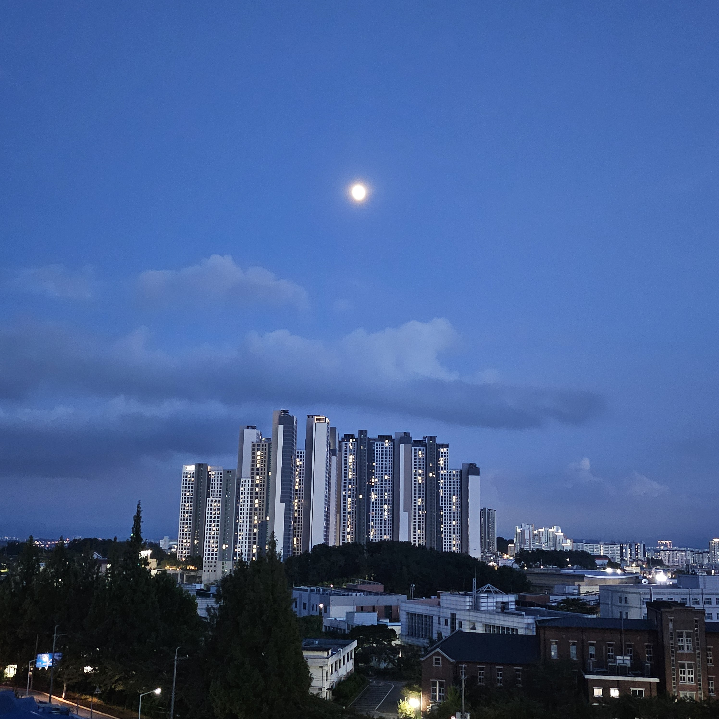 작성자 프로필 이미지