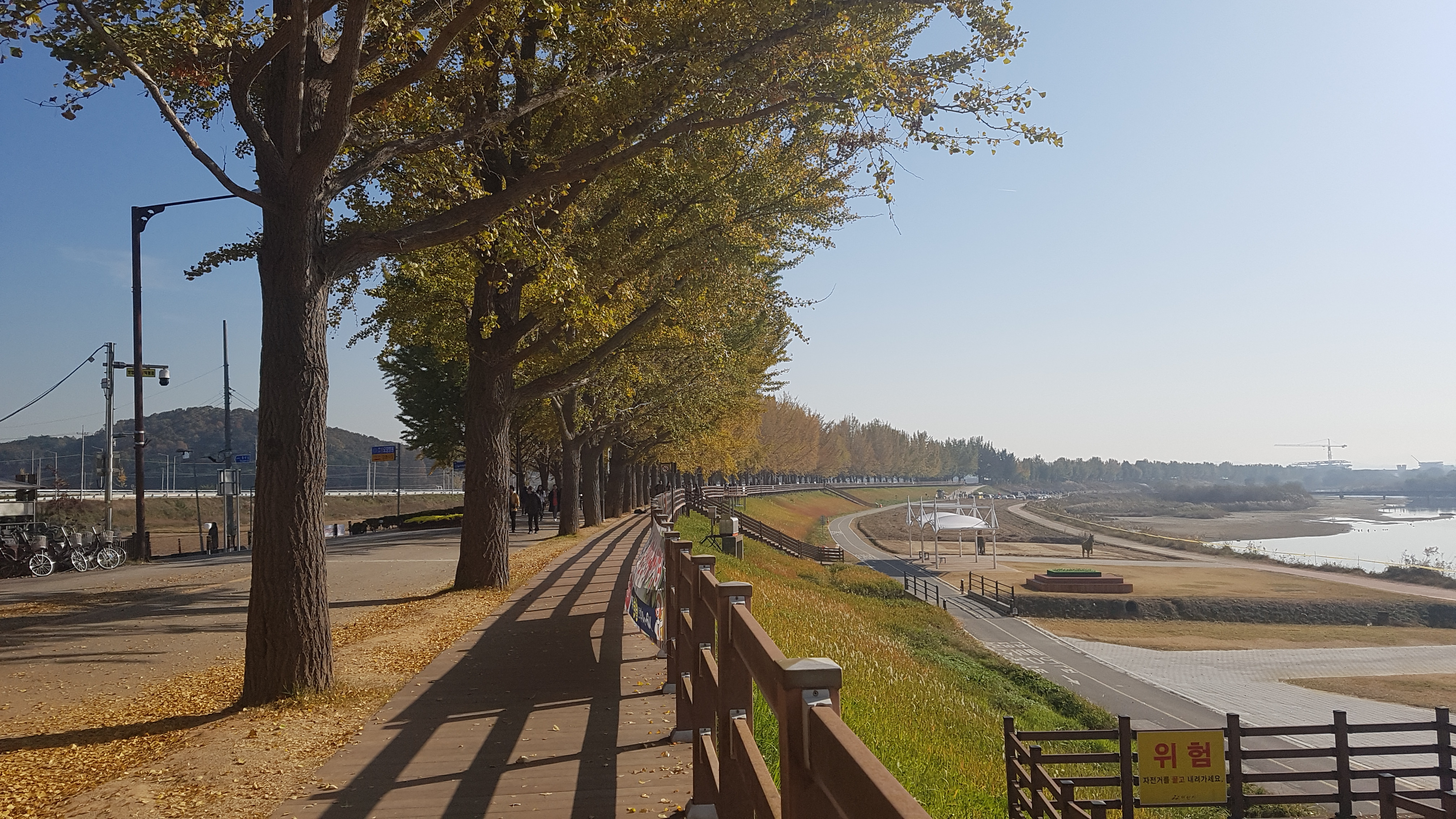 작성자 프로필 이미지