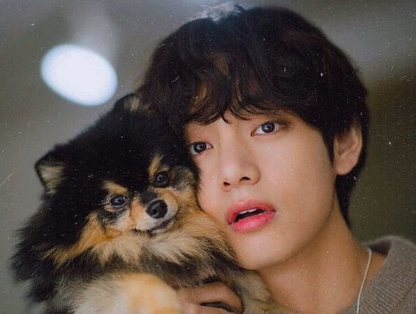 작성자 프로필 이미지