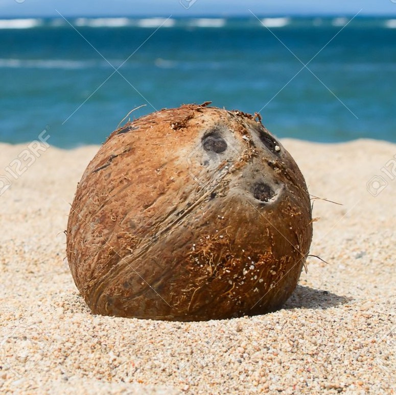 작성자 프로필 이미지