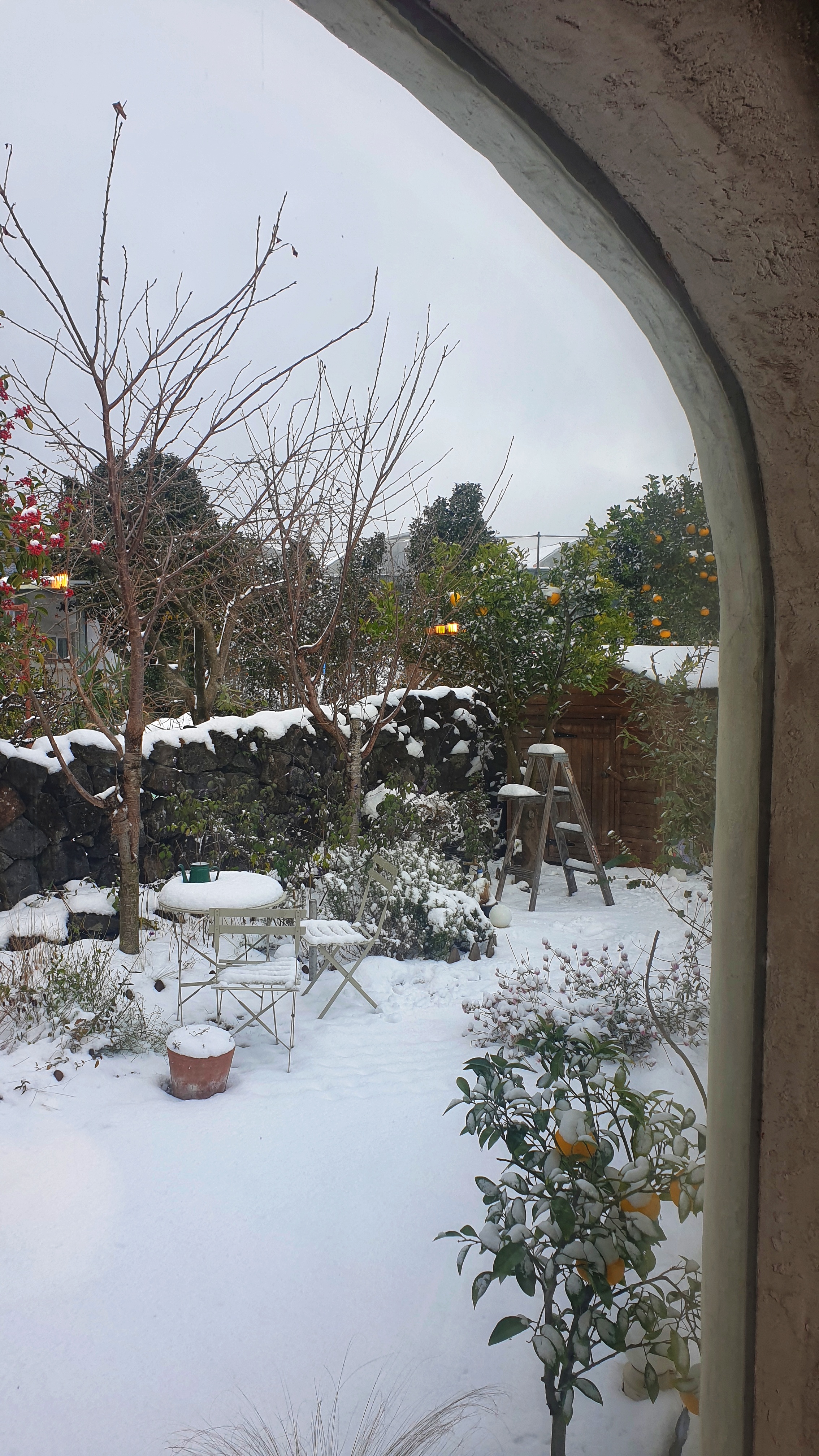 작성자 프로필 이미지