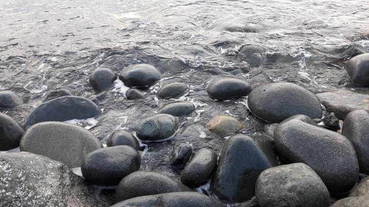 작성자 프로필 이미지