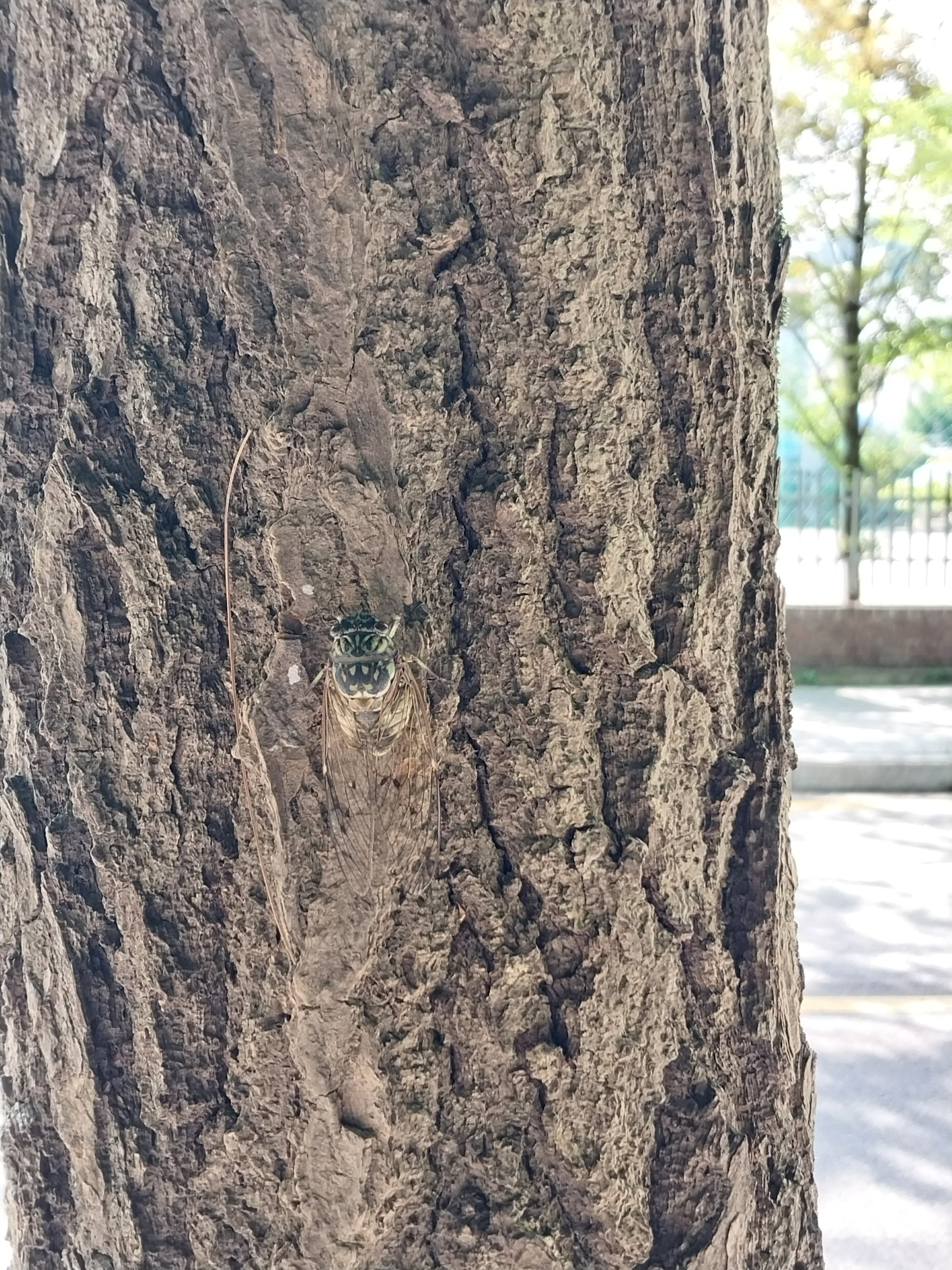 작성자 프로필 이미지