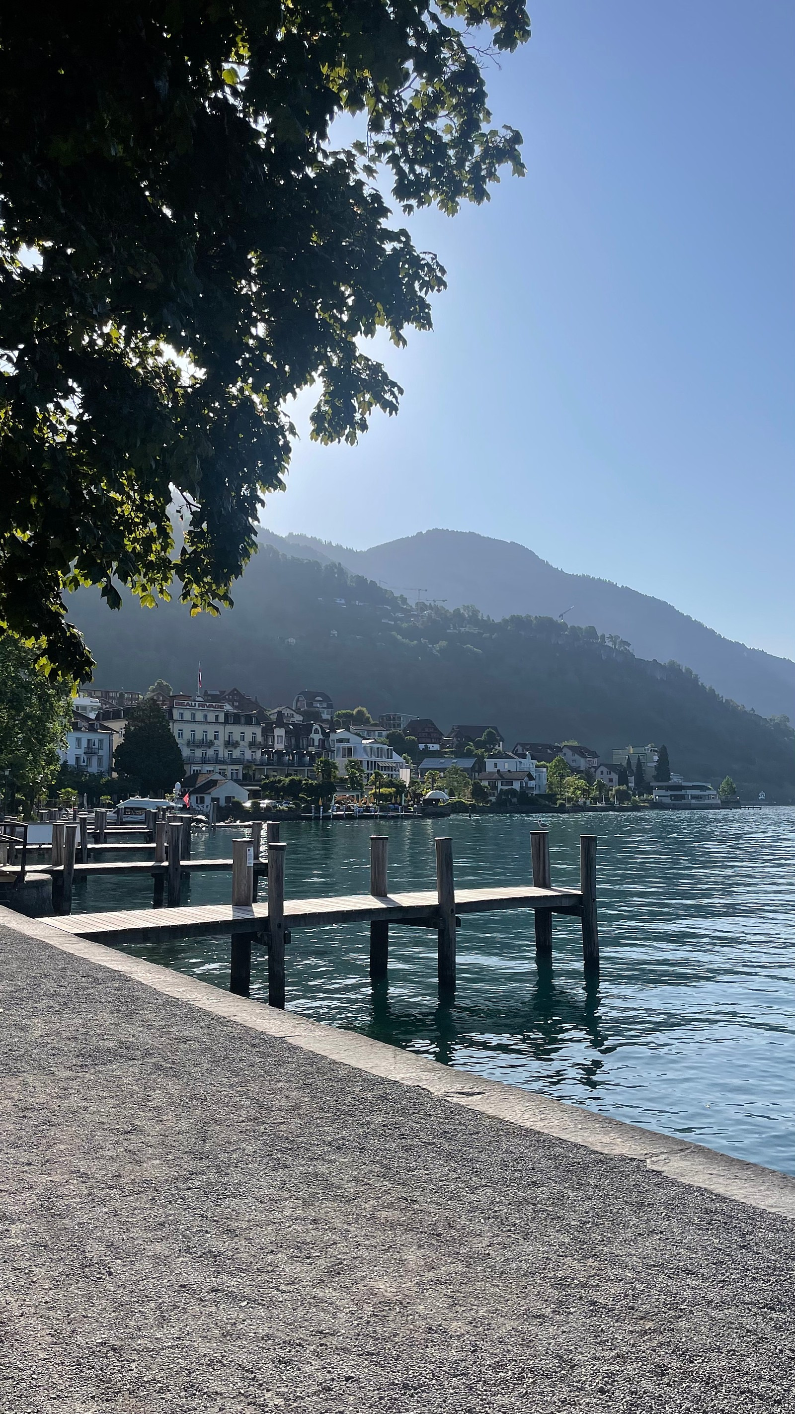 작성자 프로필 이미지