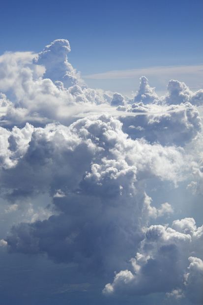 작성자 프로필 이미지