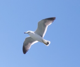 작성자 프로필 이미지