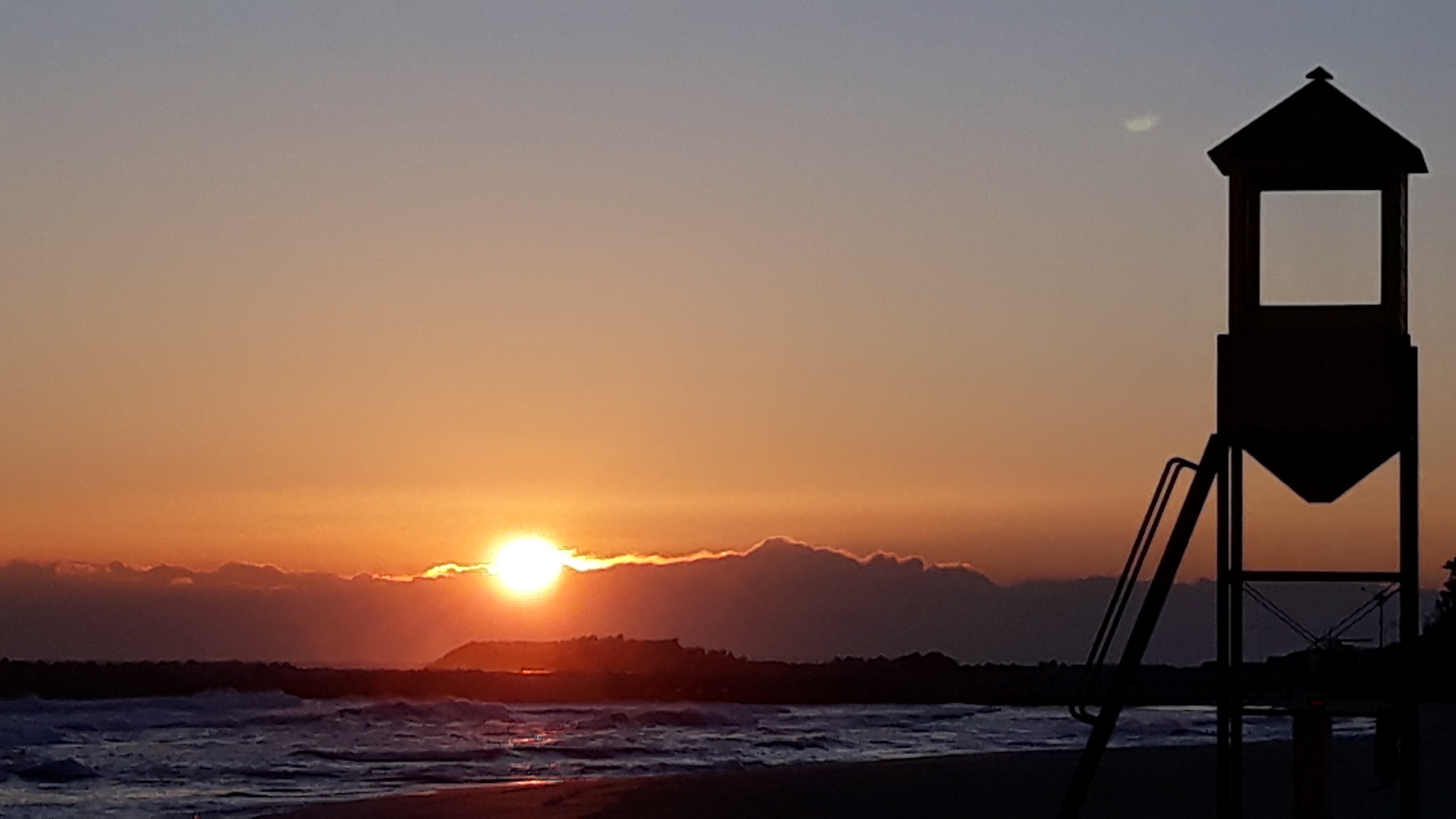 작성자 프로필 이미지