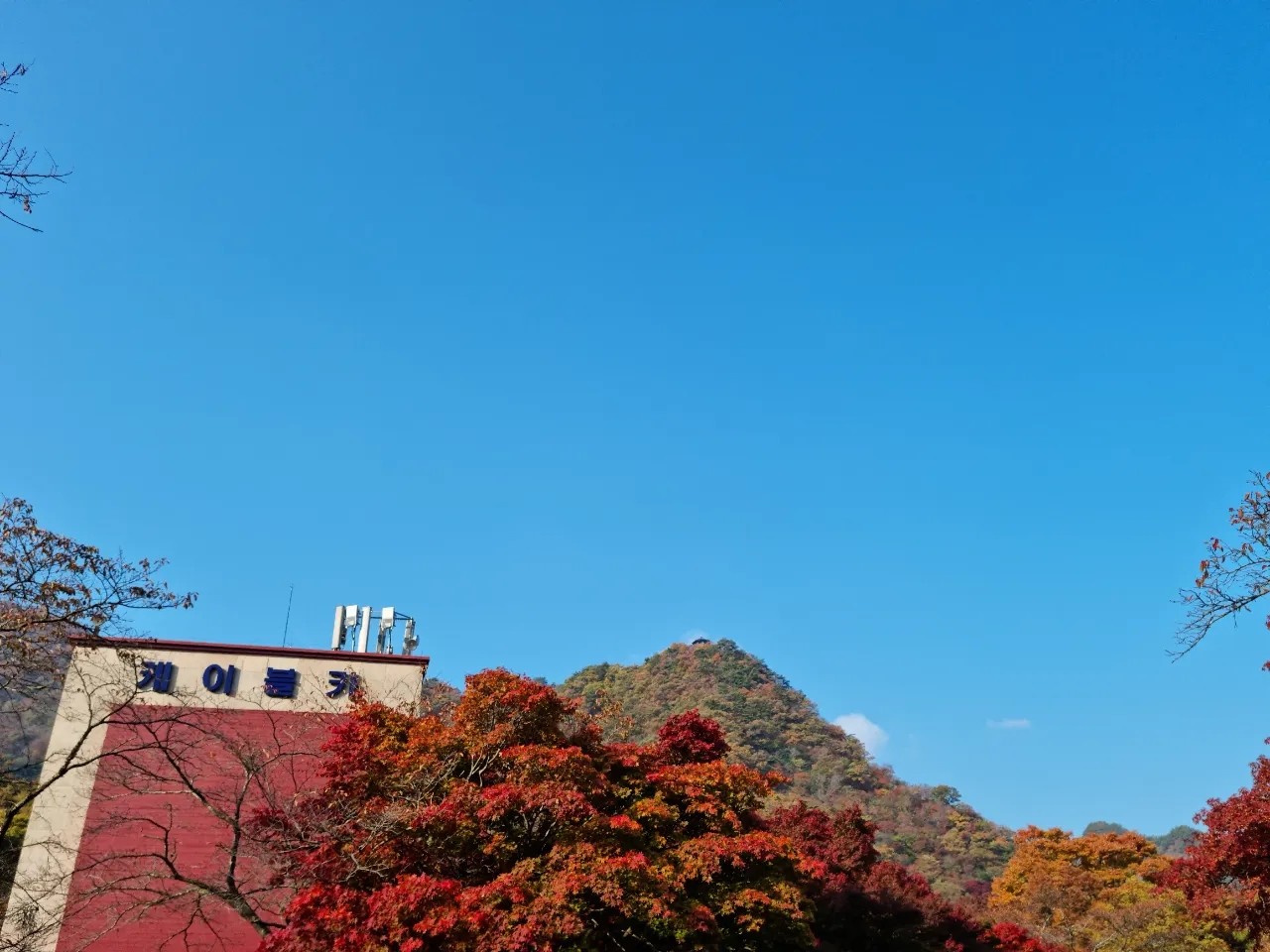 작성자 프로필 이미지