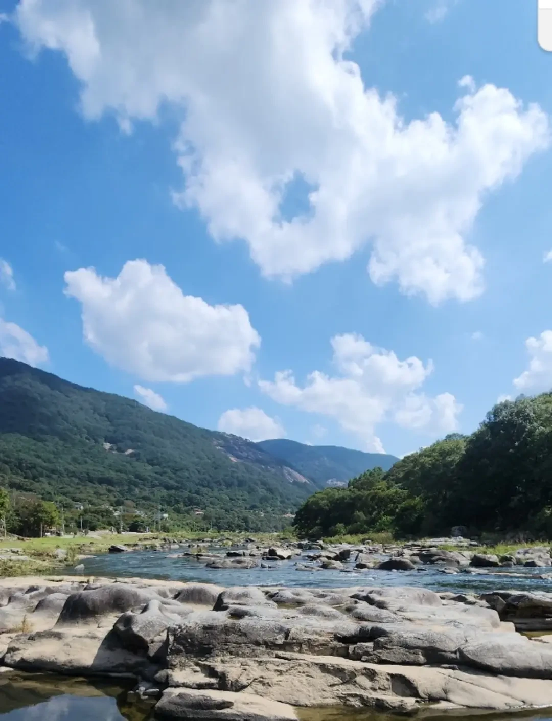 작성자 프로필 이미지