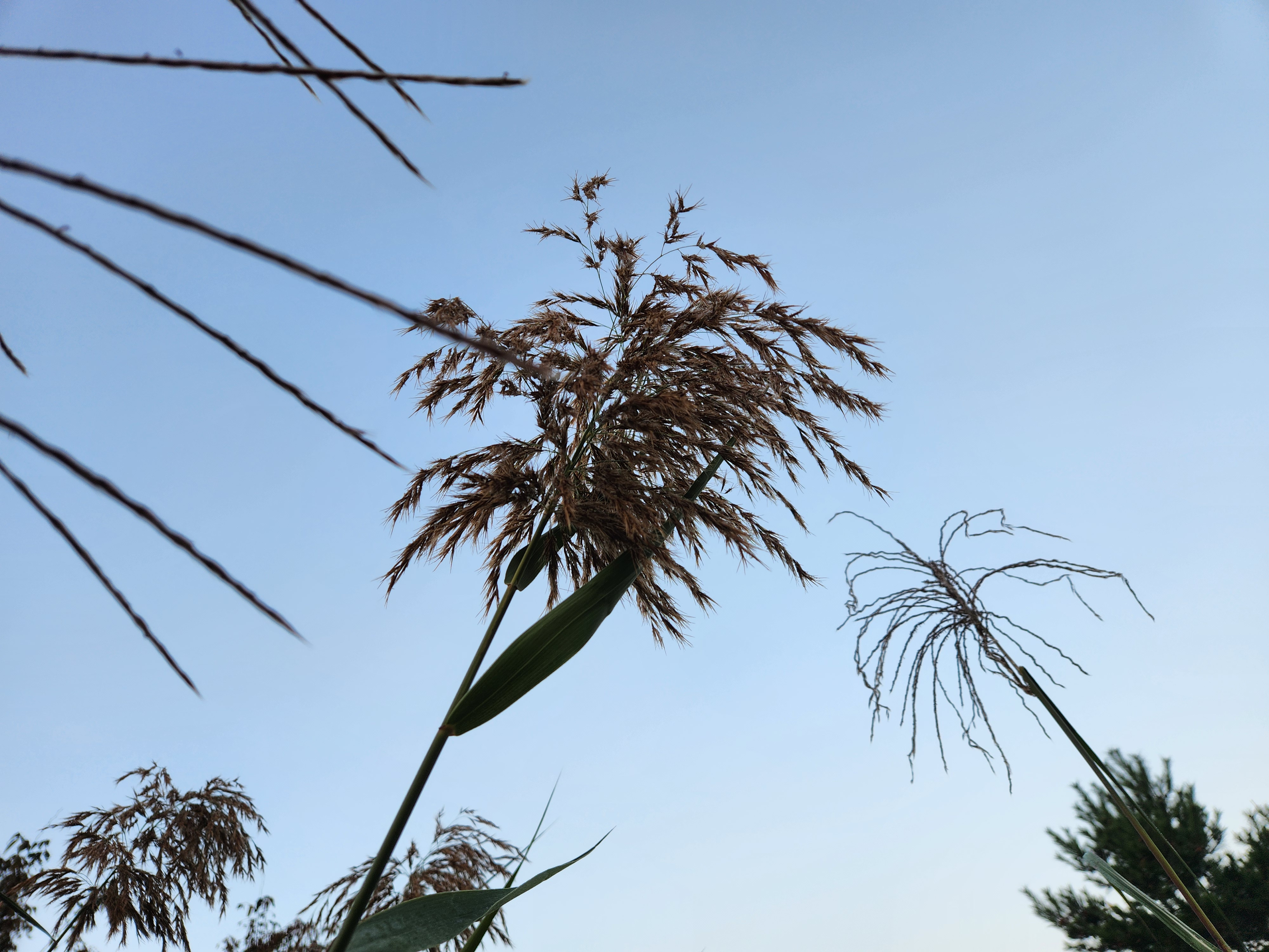 작성자 프로필 이미지