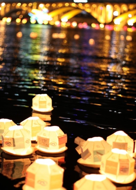 스카피스카피 프로필 이미지