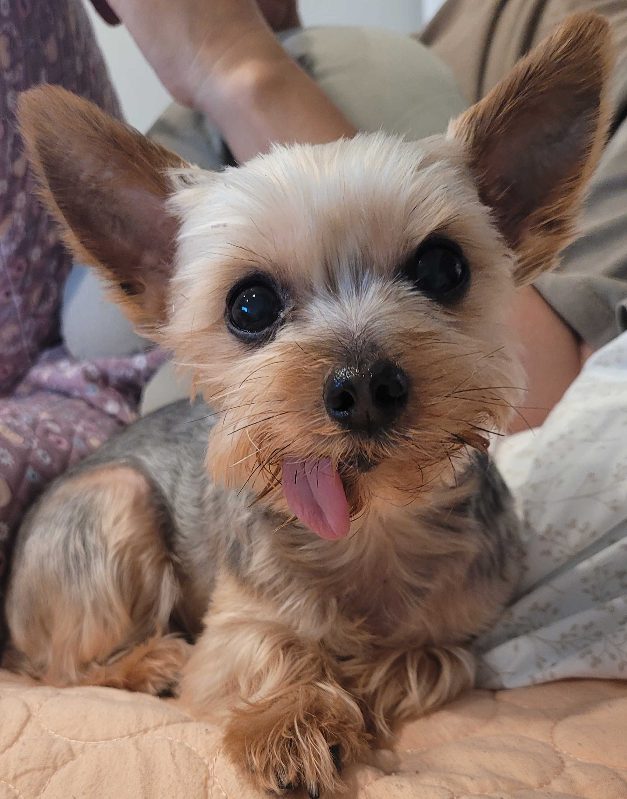 작성자 프로필 이미지