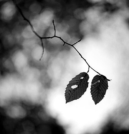 작성자 프로필 이미지