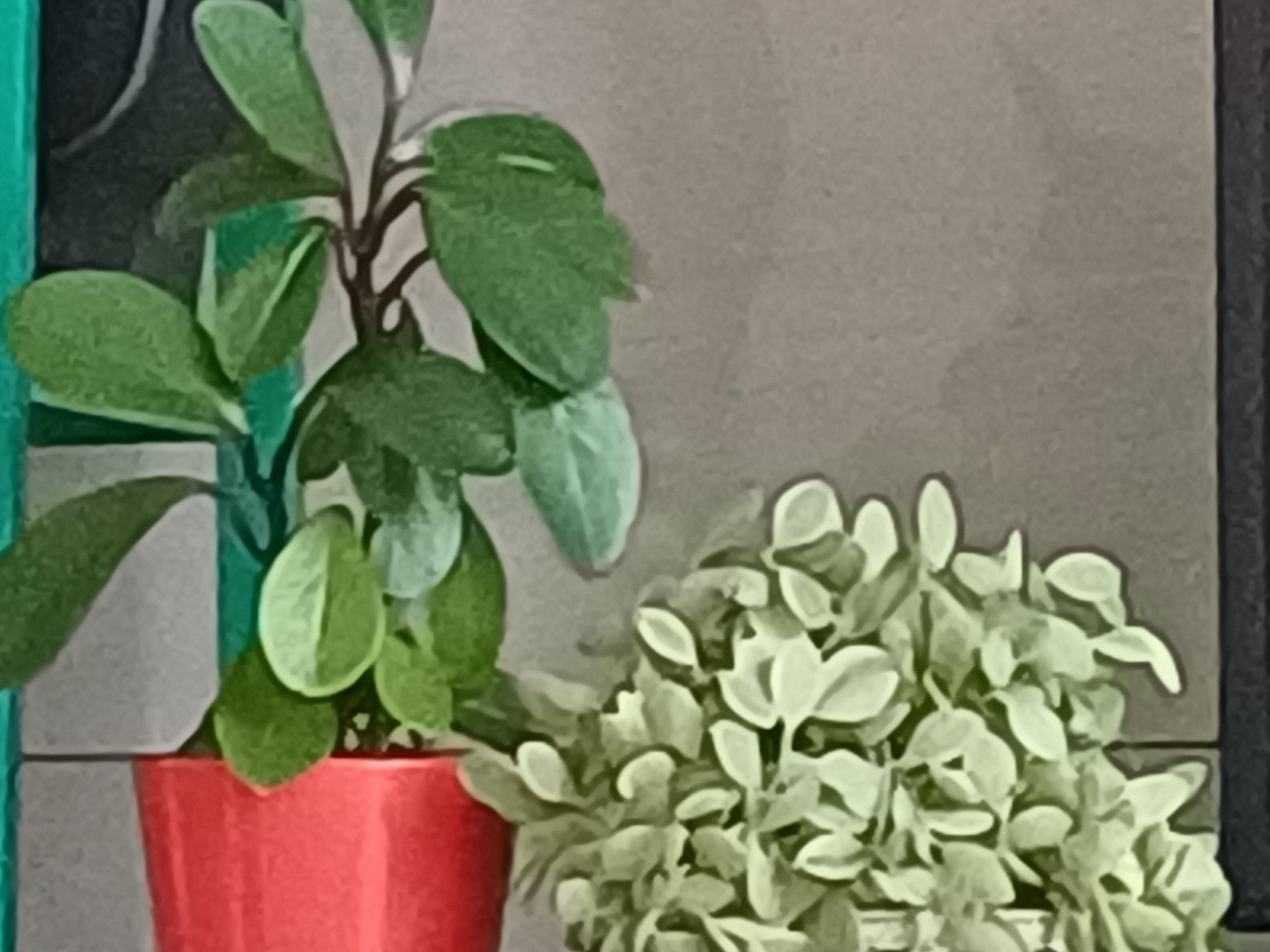 작성자 프로필 이미지