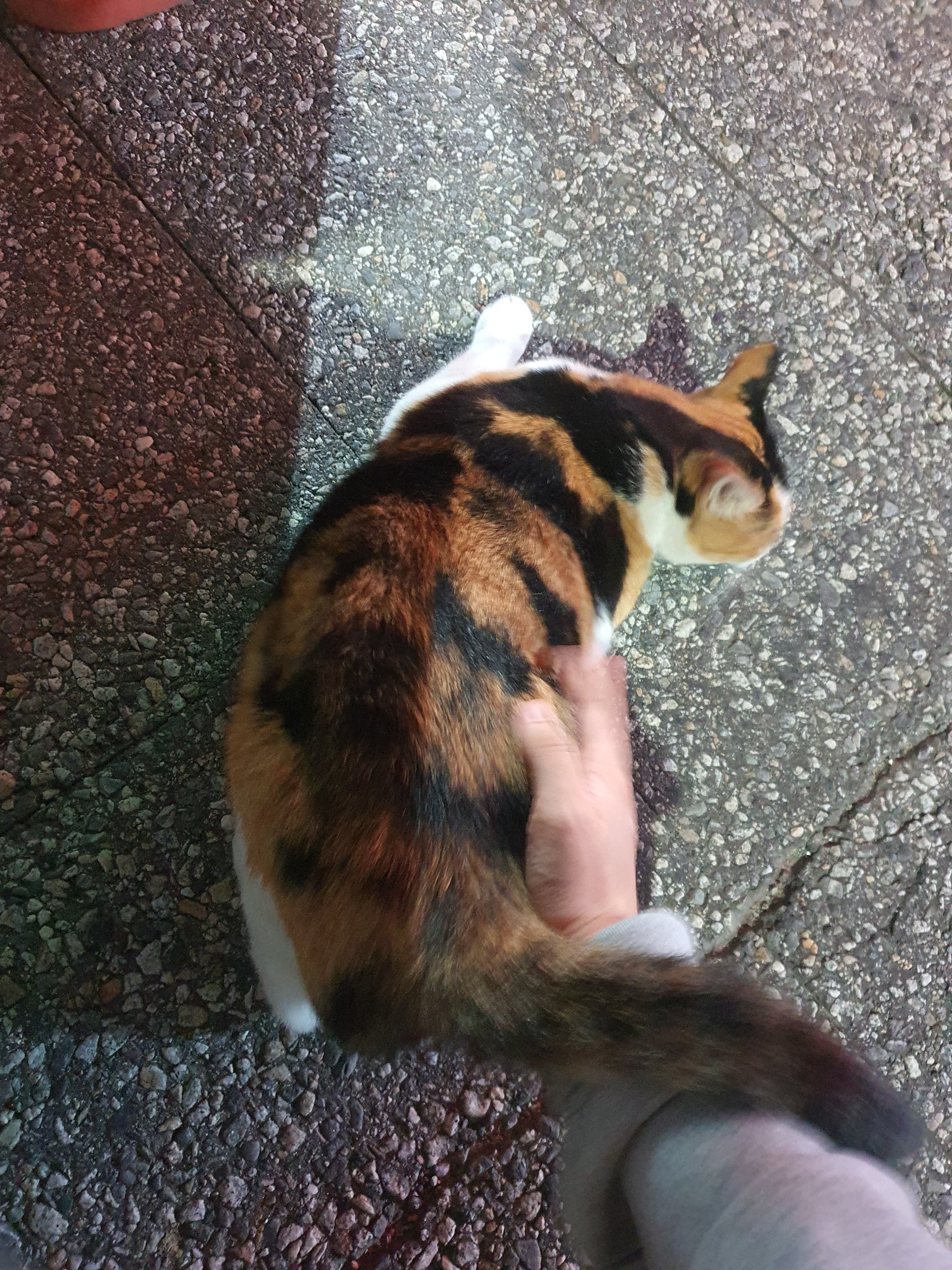 작성자 프로필 이미지