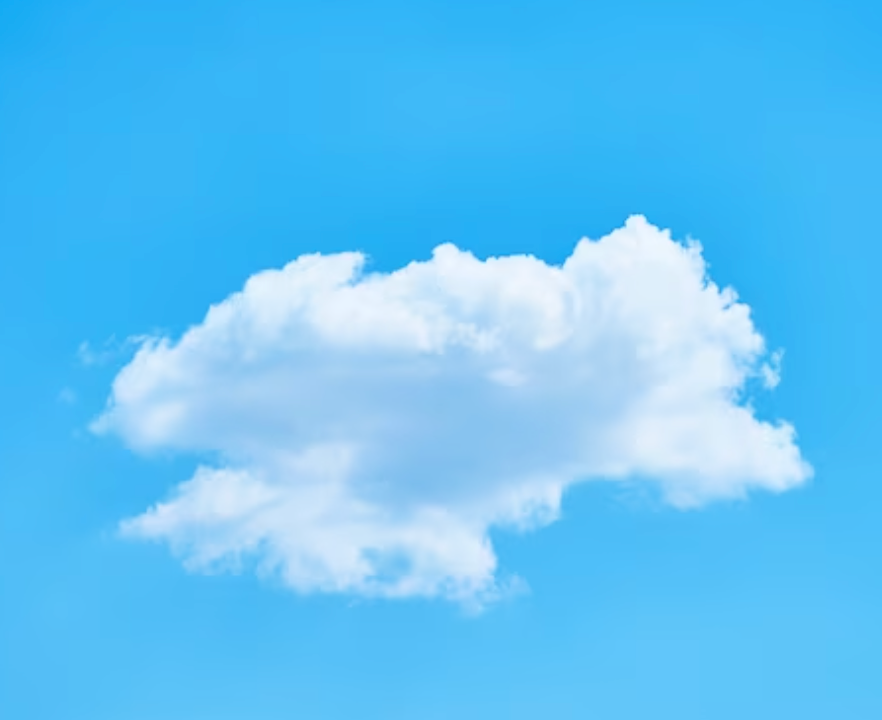 작성자 프로필 이미지