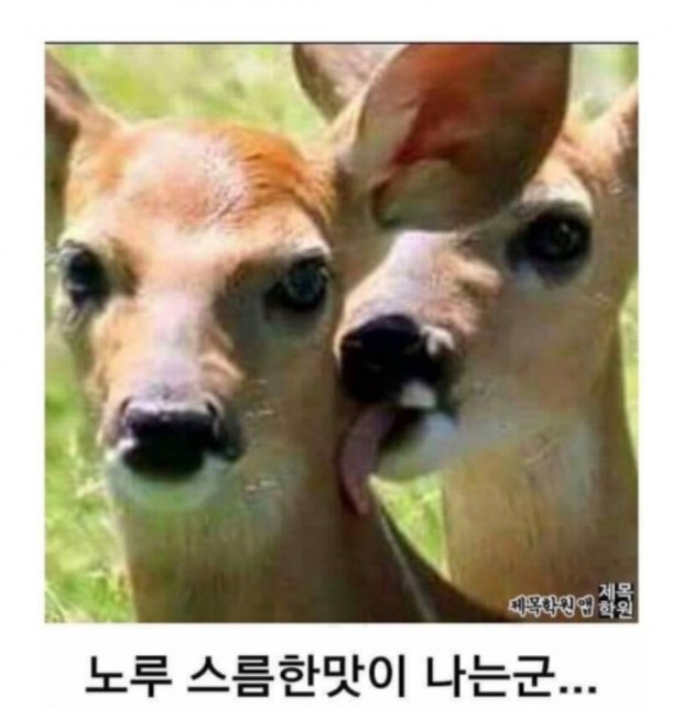 작성자 프로필 이미지
