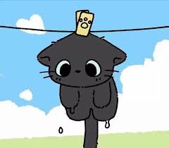 작성자 프로필 이미지