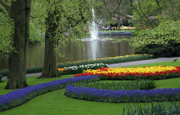 작성자 프로필 이미지