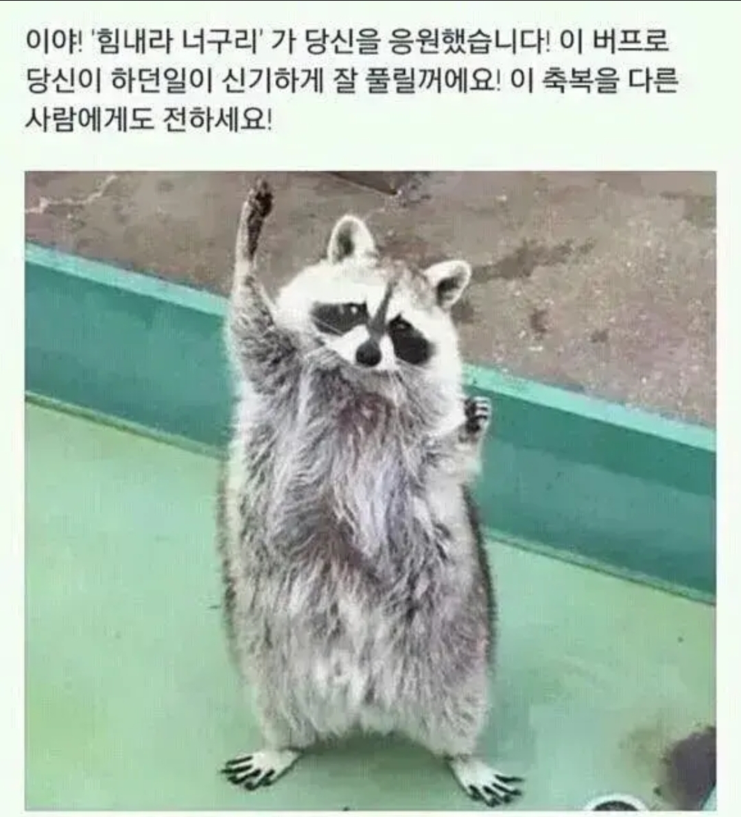 작성자 프로필 이미지