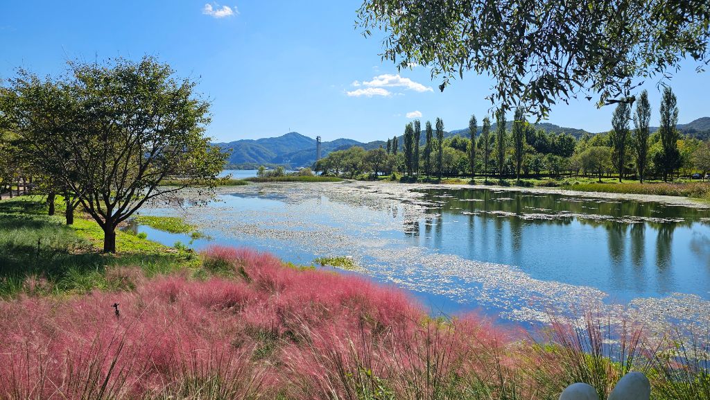 작성자 프로필 이미지