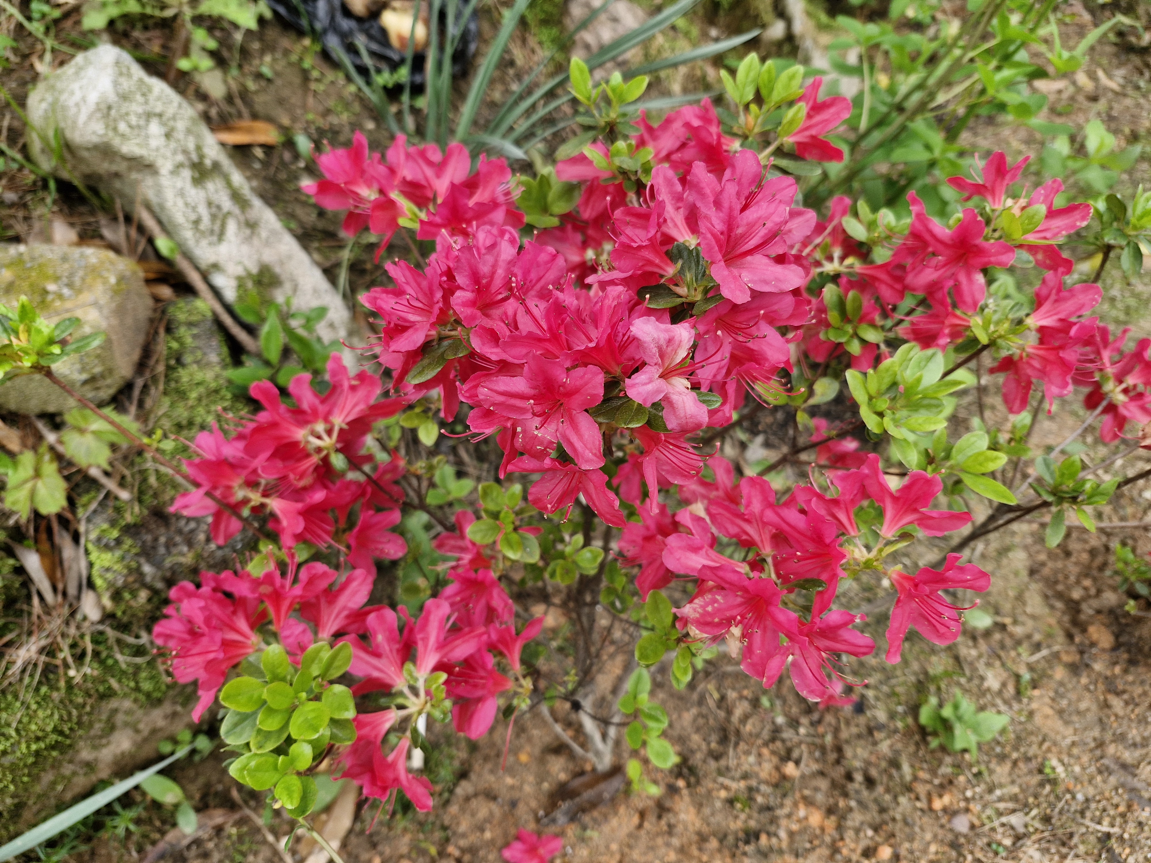 작성자 프로필 이미지