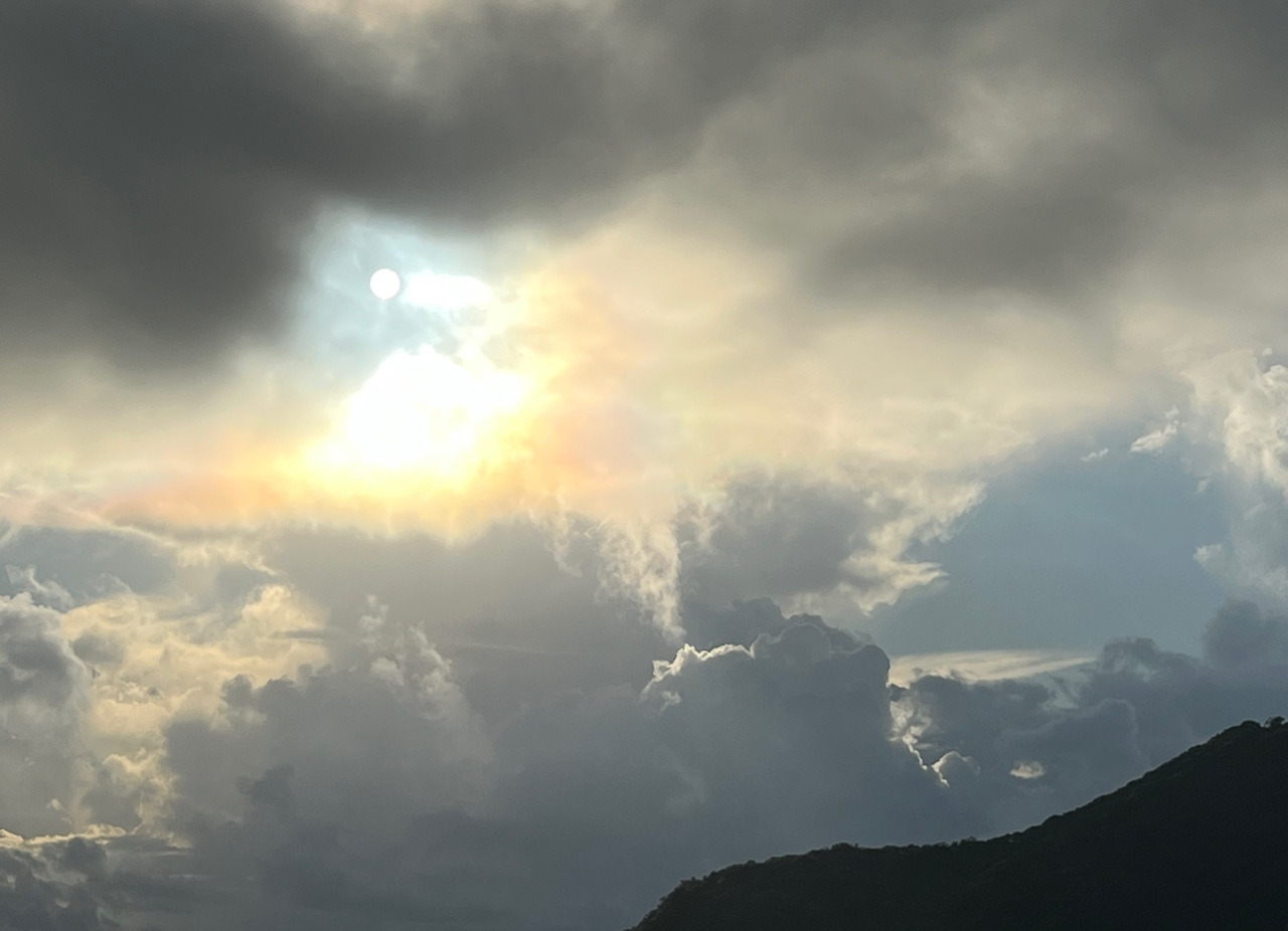 작성자 프로필 이미지