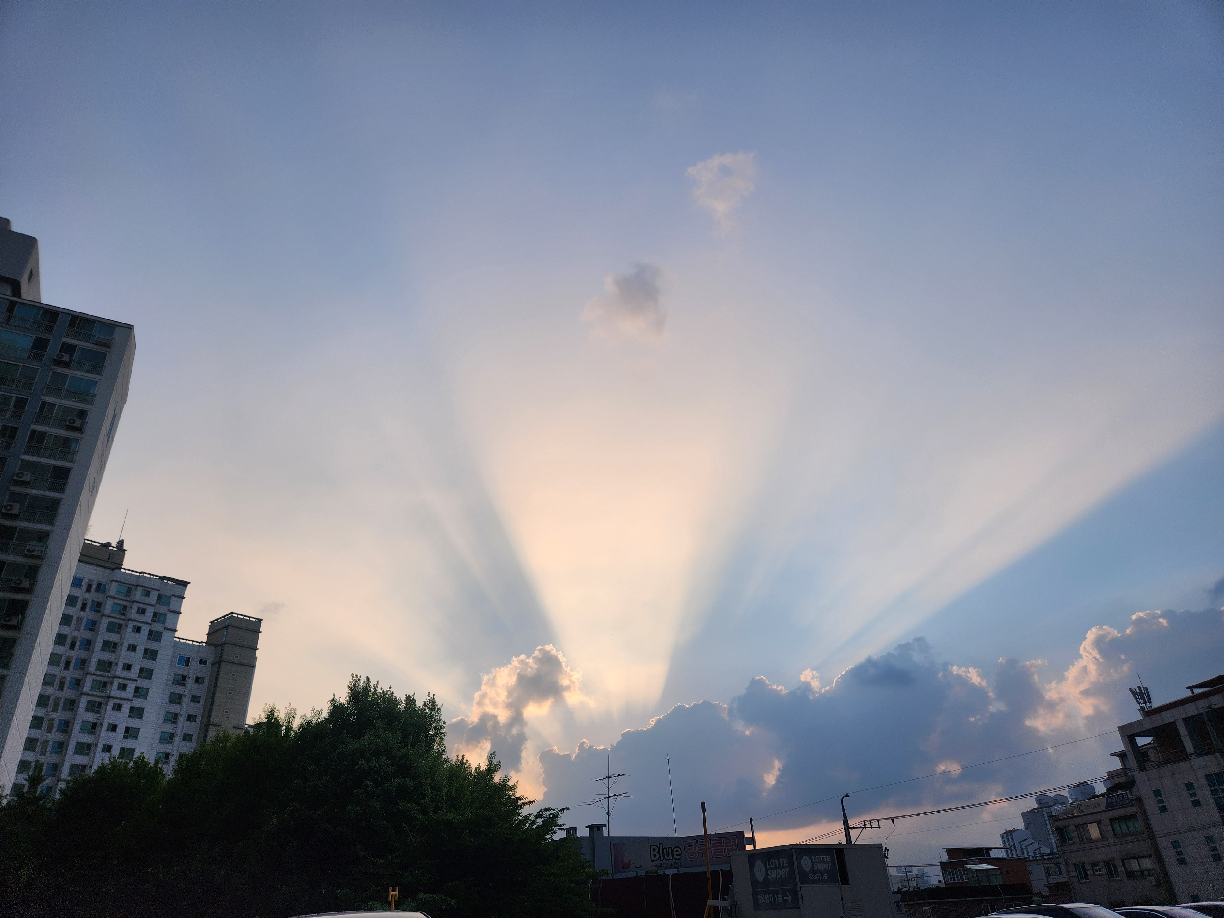 작성자 프로필 이미지