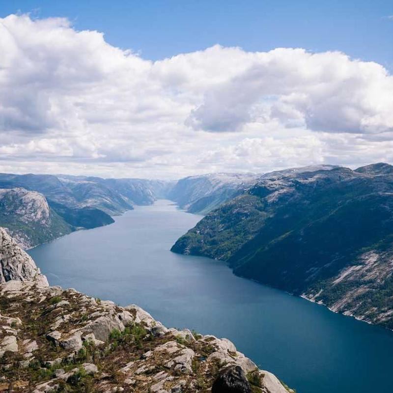 작성자 프로필 이미지