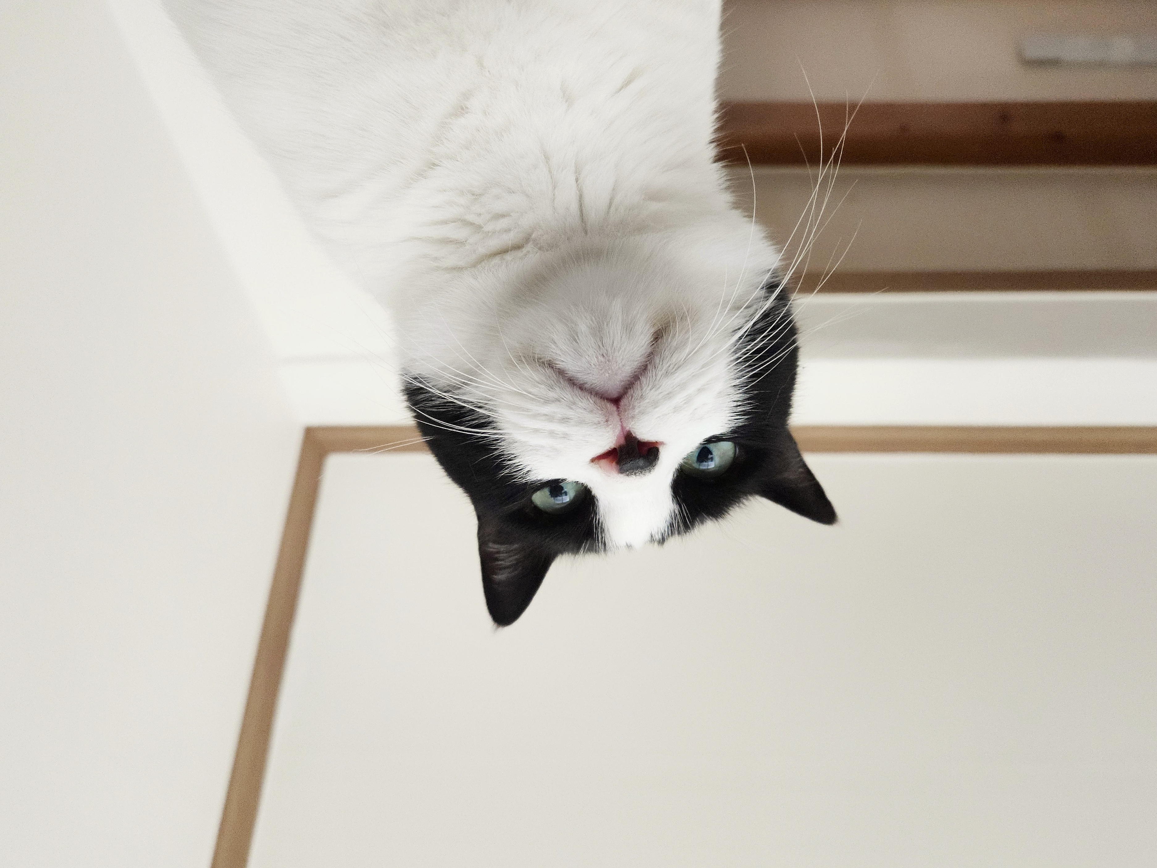 작성자 프로필 이미지