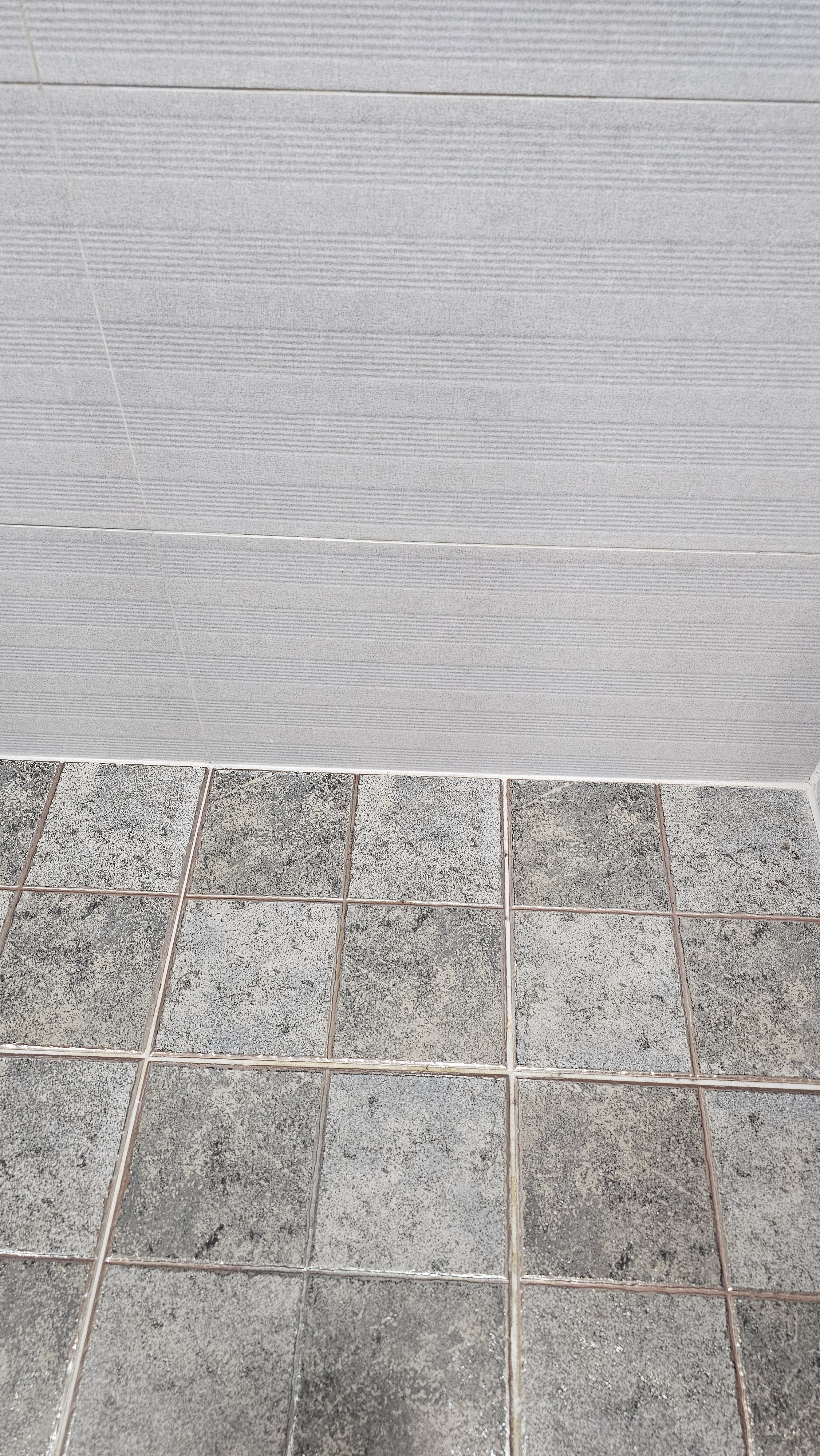 작성자 프로필 이미지