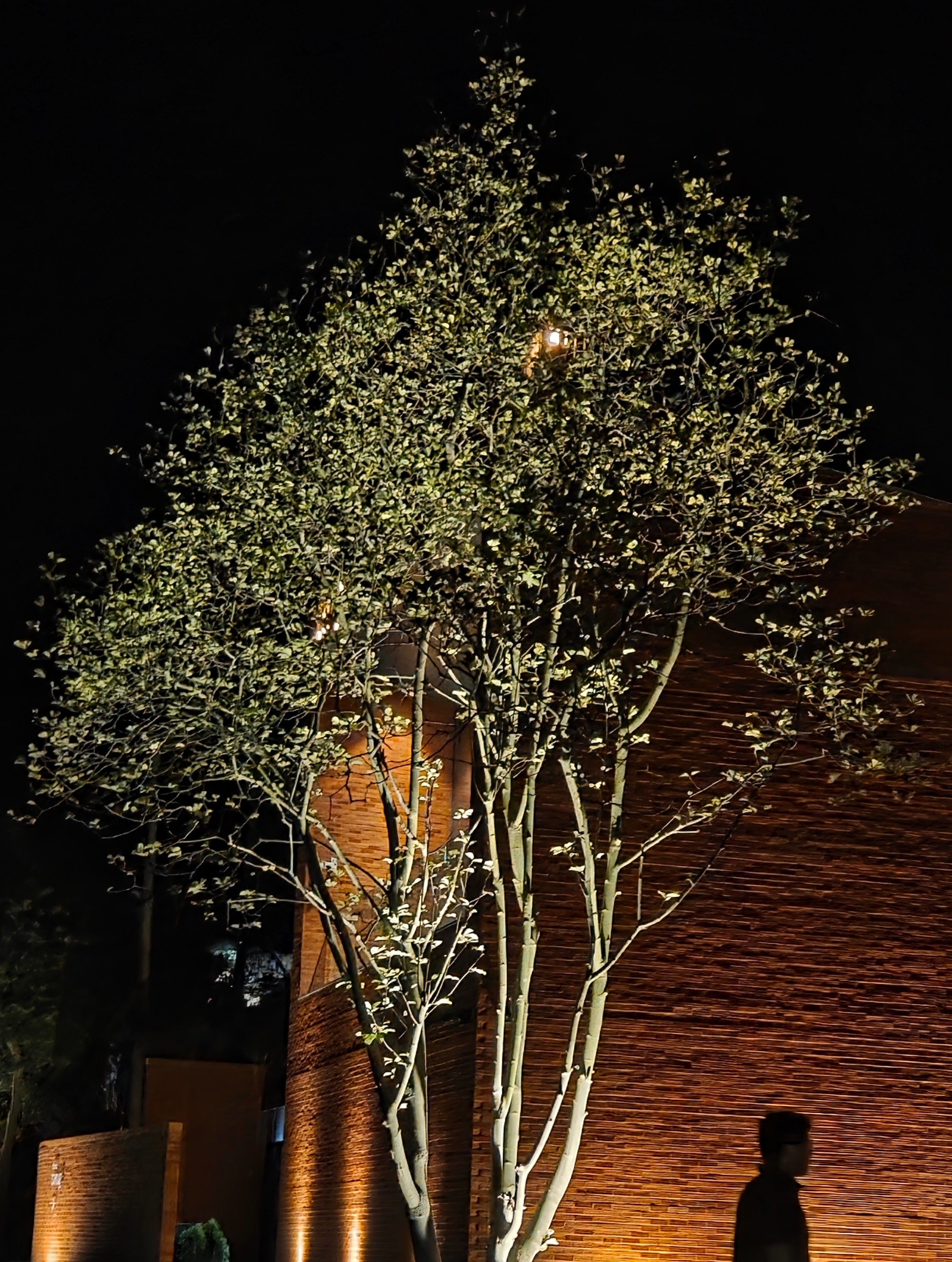 작성자 프로필 이미지