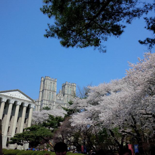 작성자 프로필 이미지