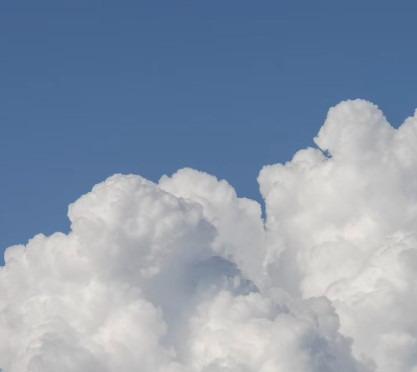 작성자 프로필 이미지