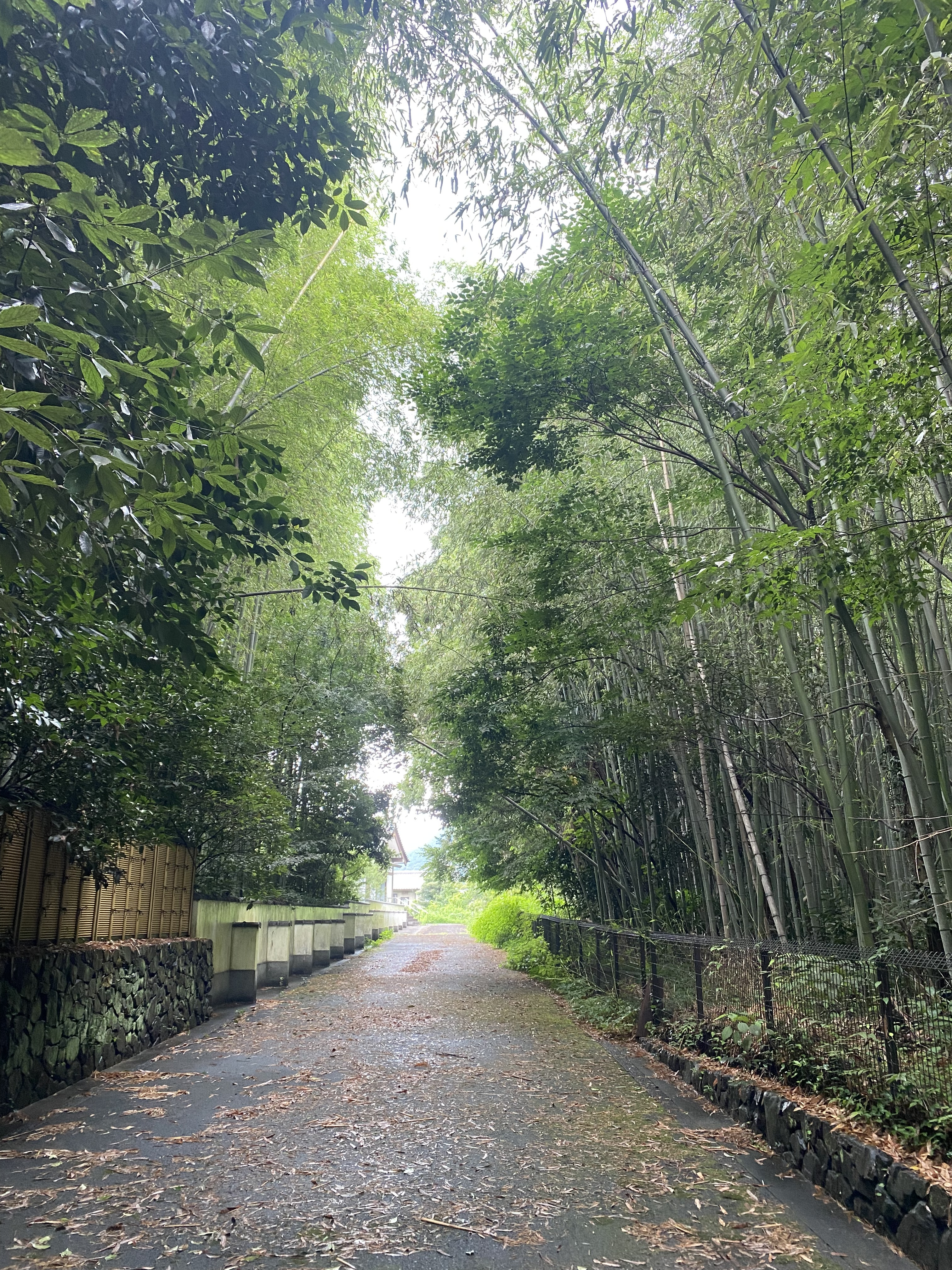 작성자 프로필 이미지