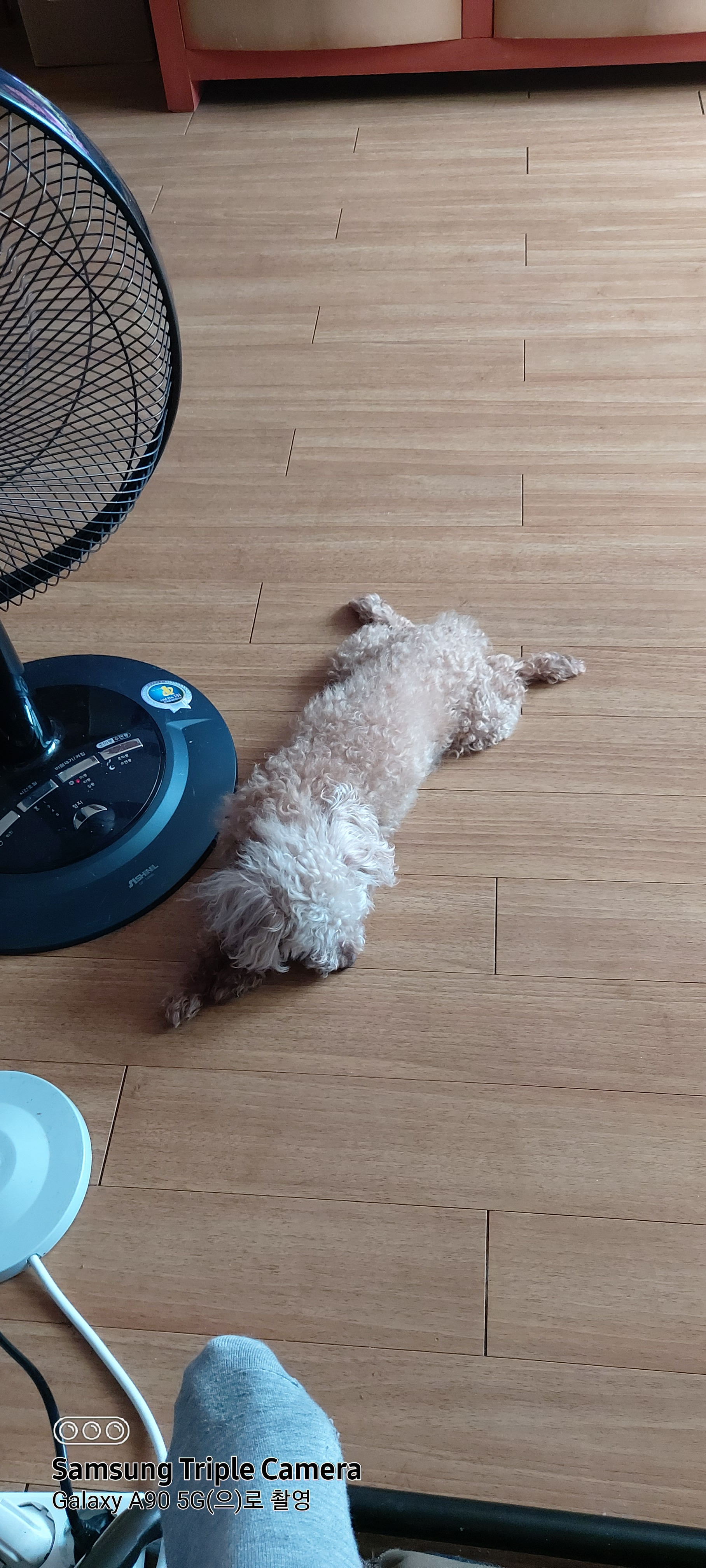 작성자 프로필 이미지