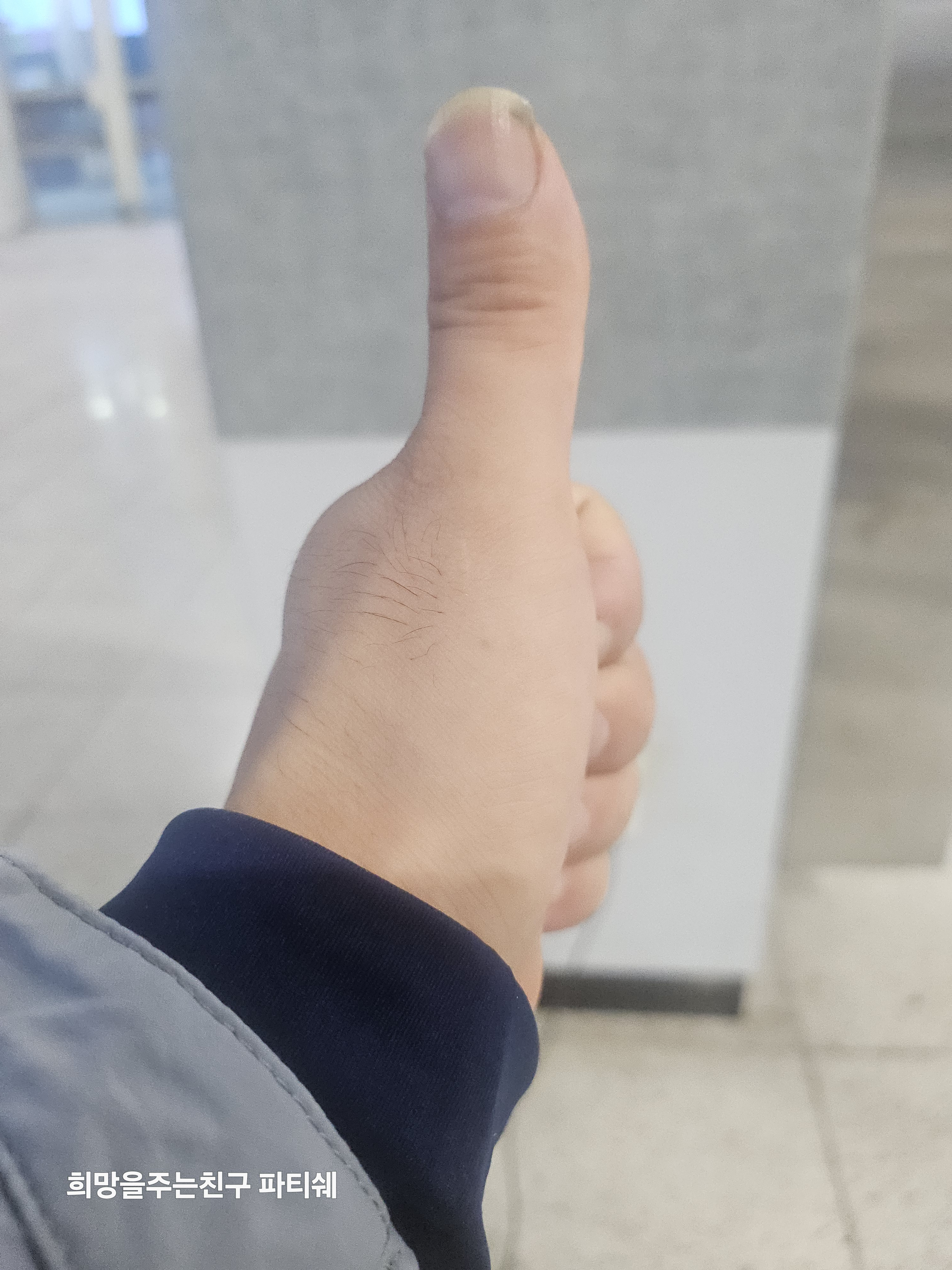 작성자 프로필 이미지