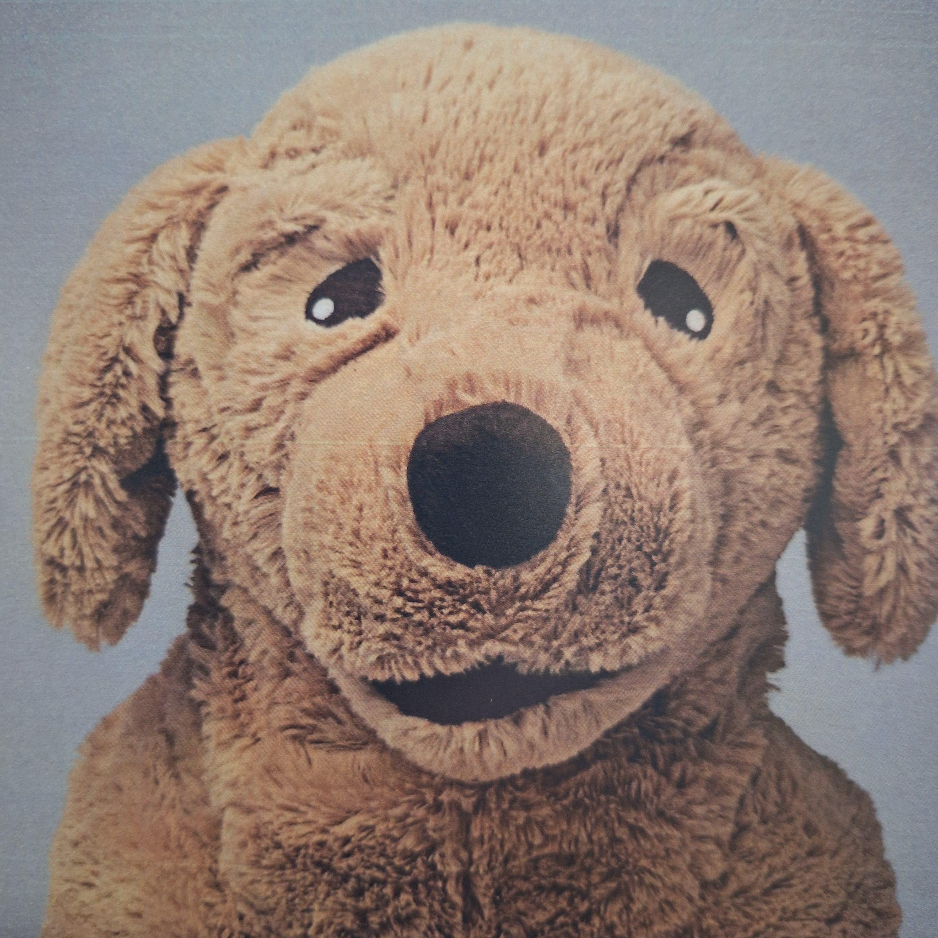 작성자 프로필 이미지