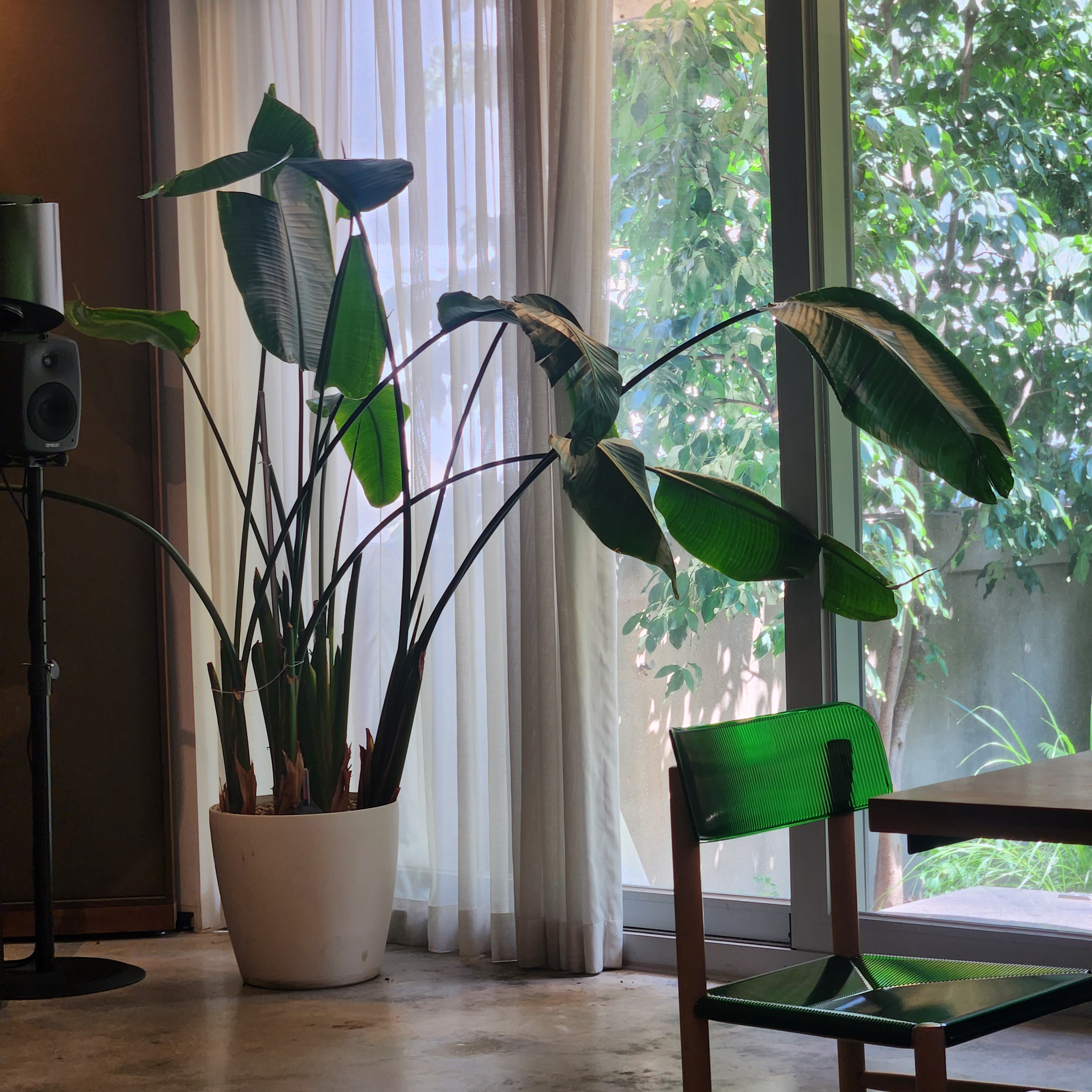 작성자 프로필 이미지